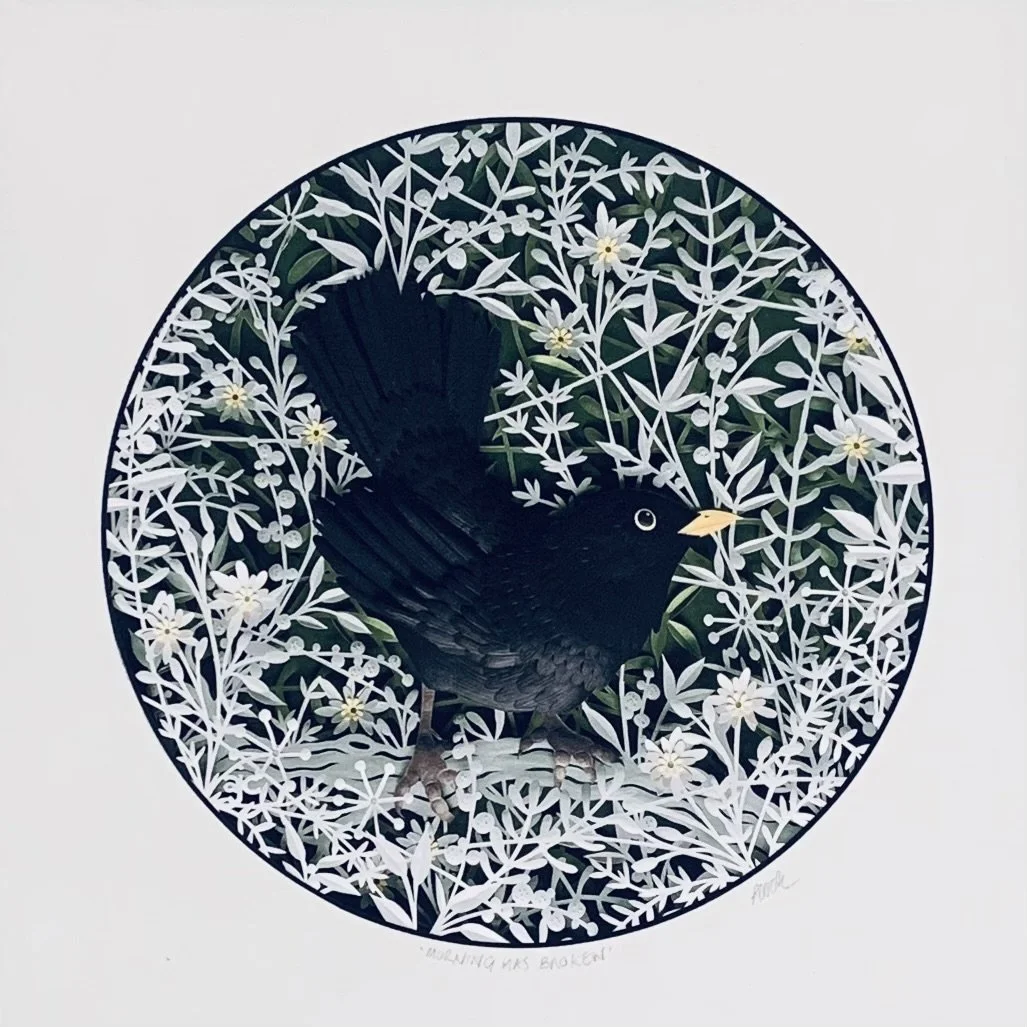 MORNING HAS BROKEN - BLACKBIRD