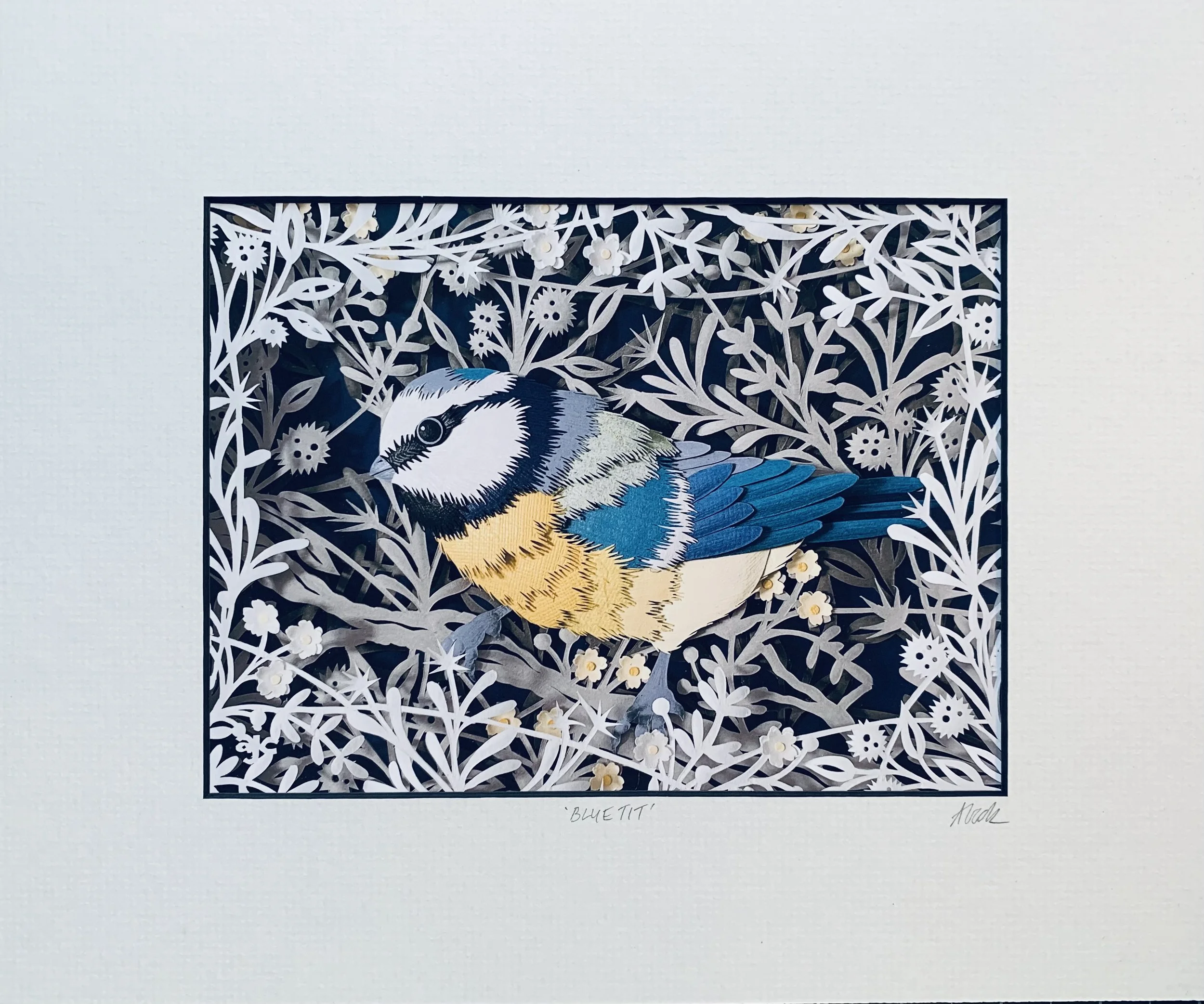 BLUE TIT