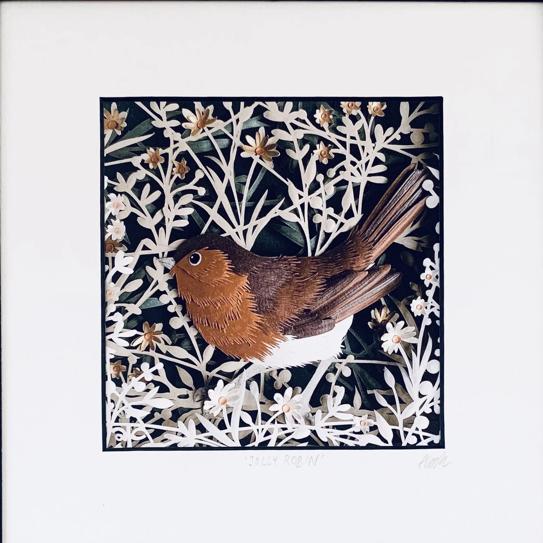 JOLLY ROBIN