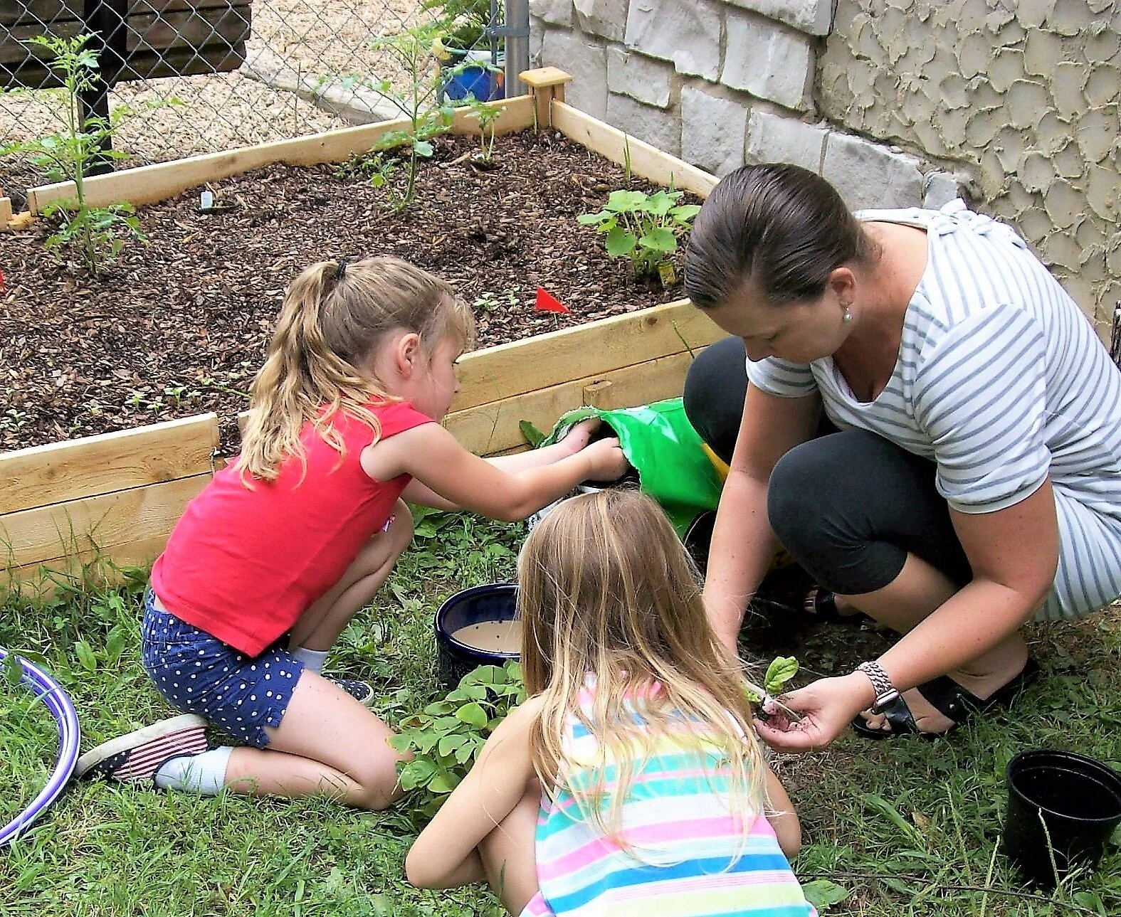 Planting Tomatoes.JPG
