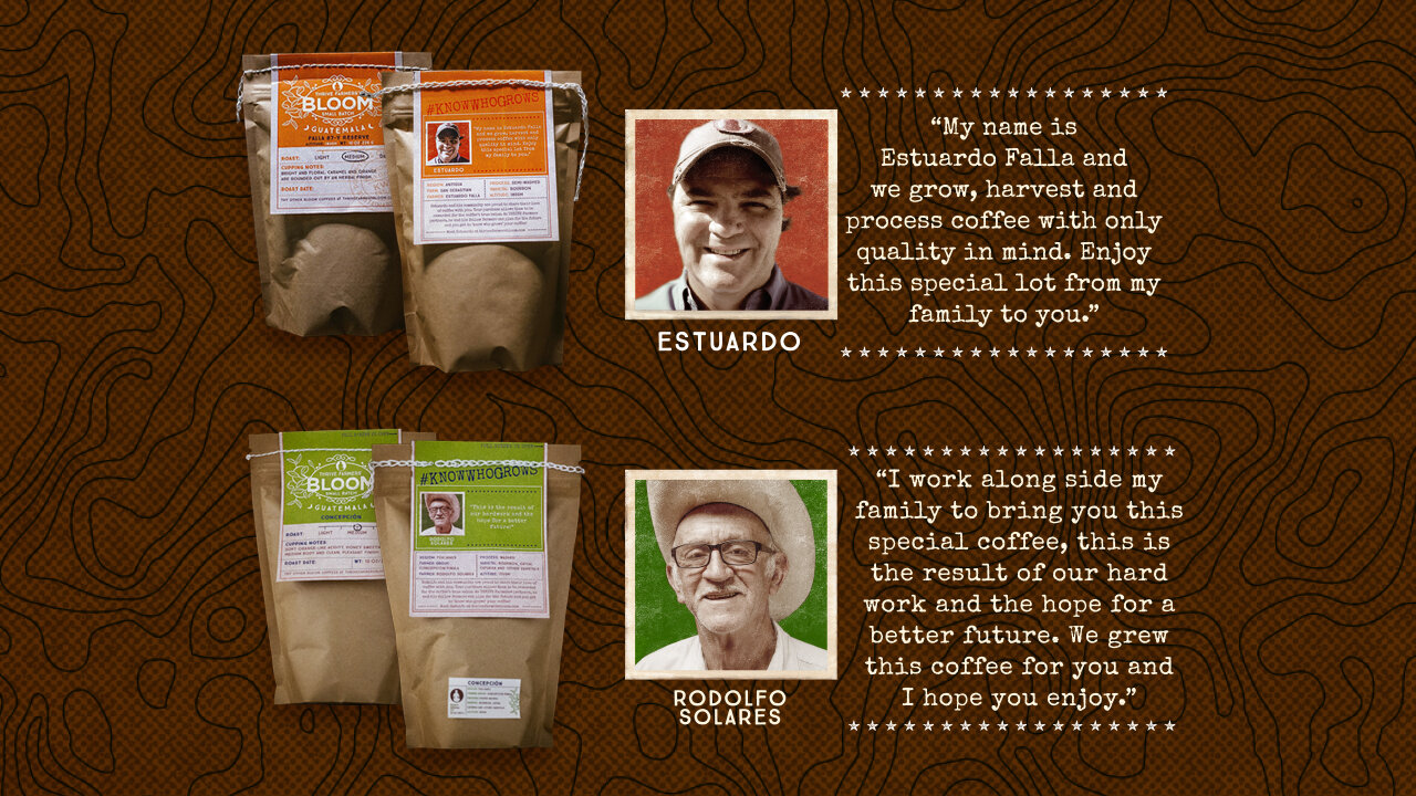 Thrive-Farmers-Bloom-Portfolio-2020-03.jpg