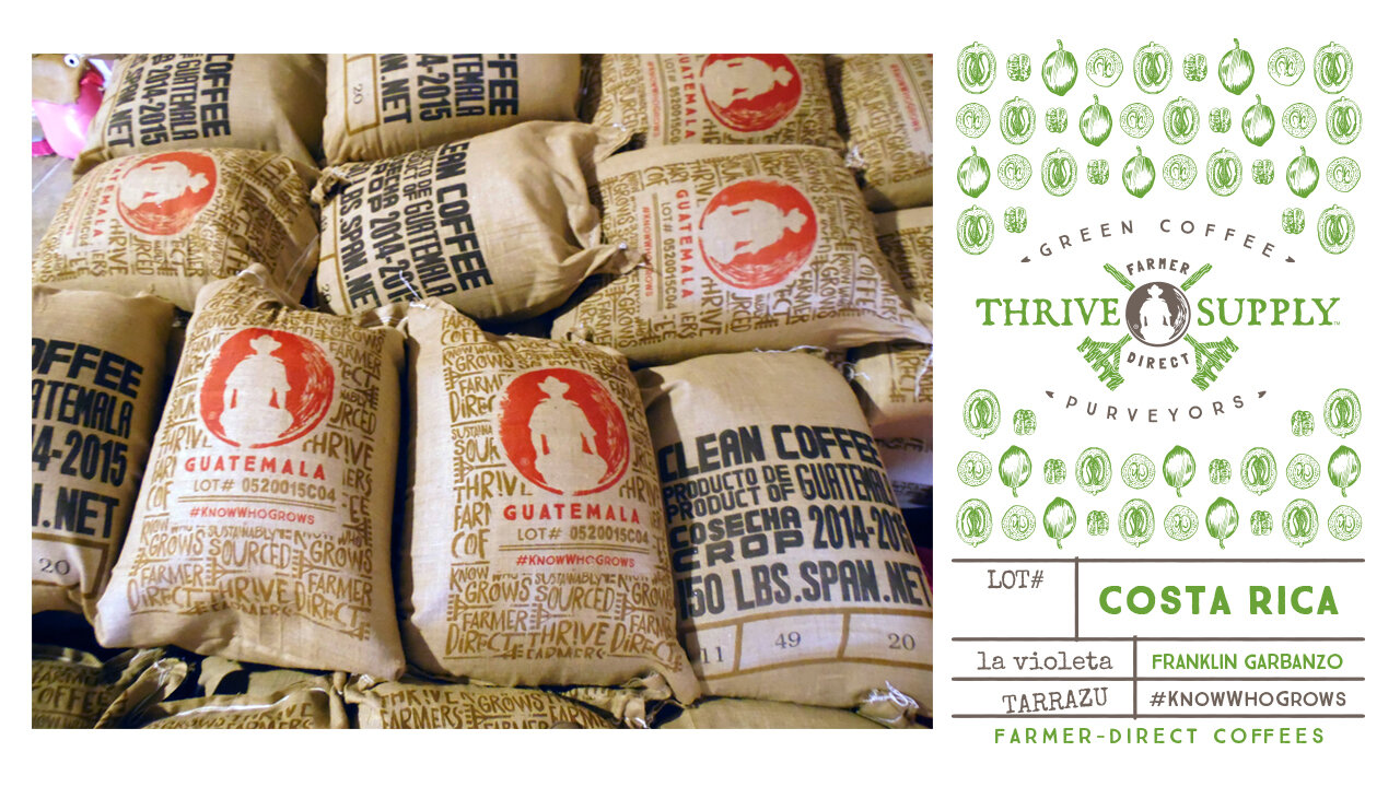 Bardis-Design-Thrive-Farmers-Design-Portfolio-2020-03.jpg