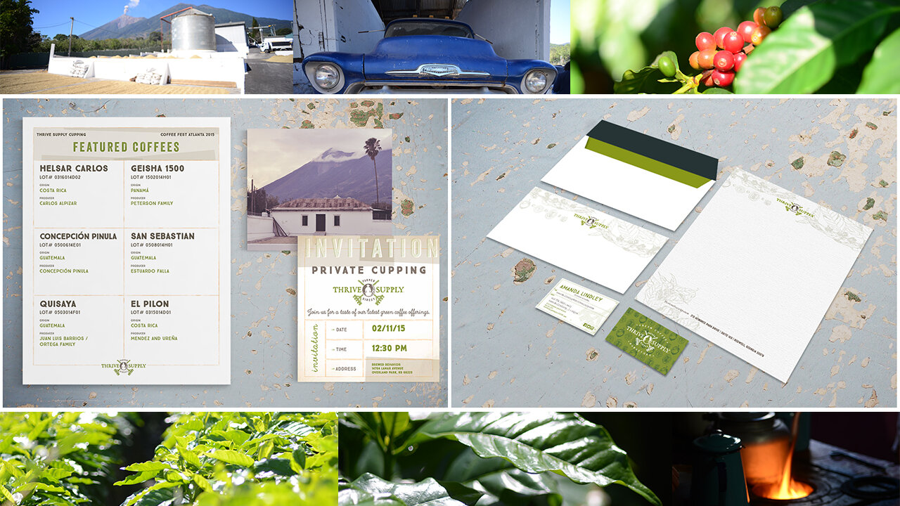Bardis-Design-Thrive-Farmers-Design-Portfolio-2020-09.jpg