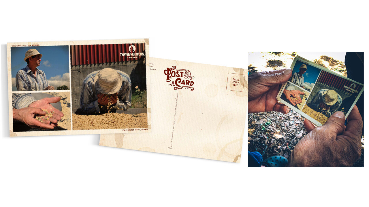 Bardis-Design-Thrive-Farmers-Portfolio-2020-15.jpg