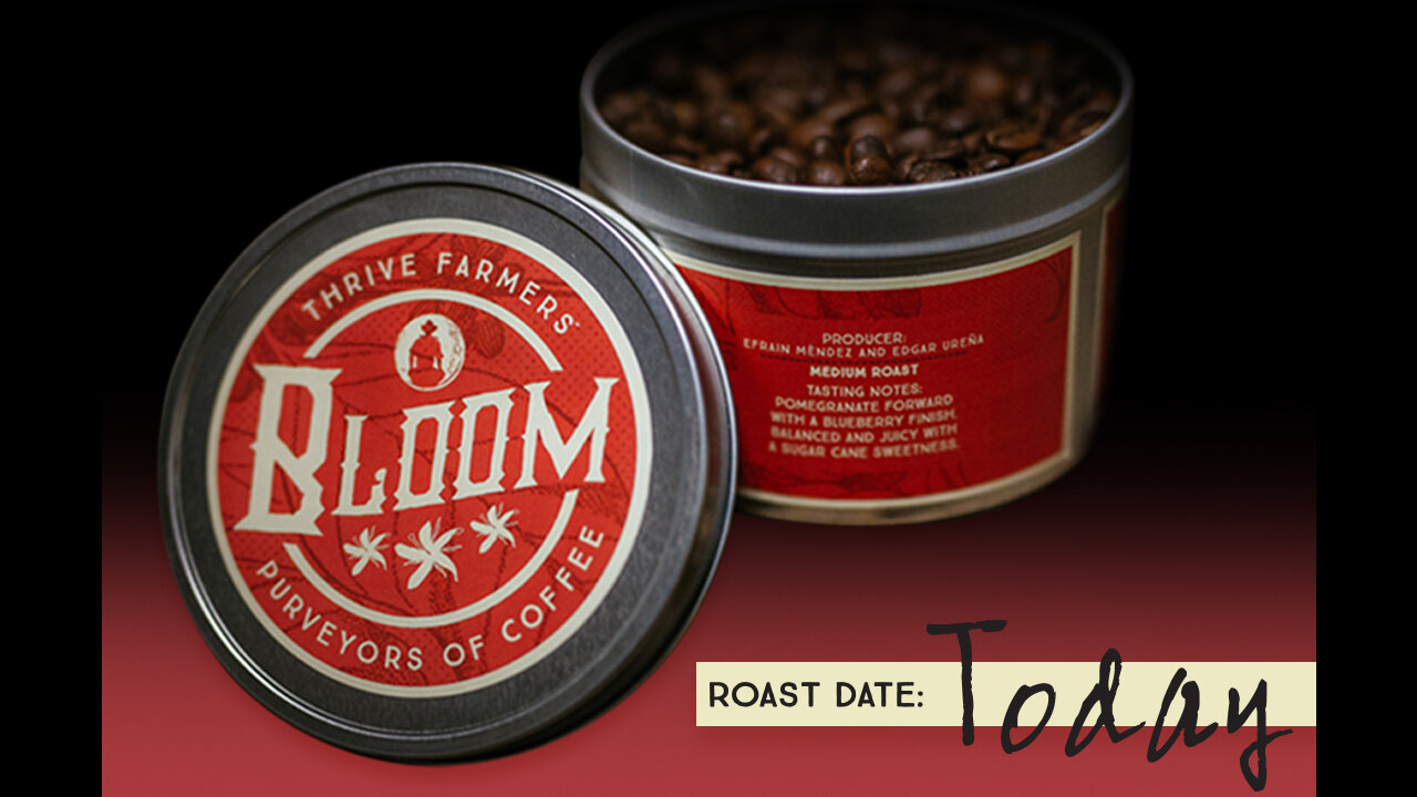 Bardis-Design-Portfolio-Bloom-Tins-2020-01.jpg
