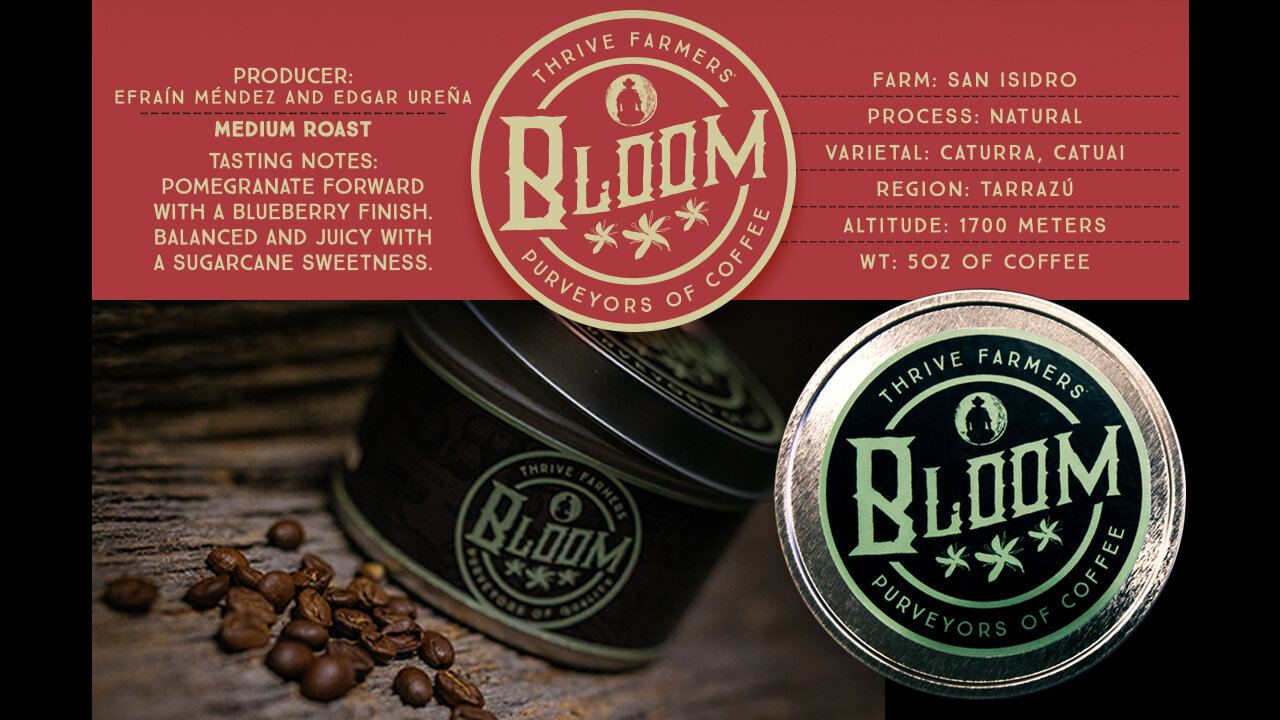 Bardis-Design-Portfolio-Bloom-Tins-2020-02.jpg