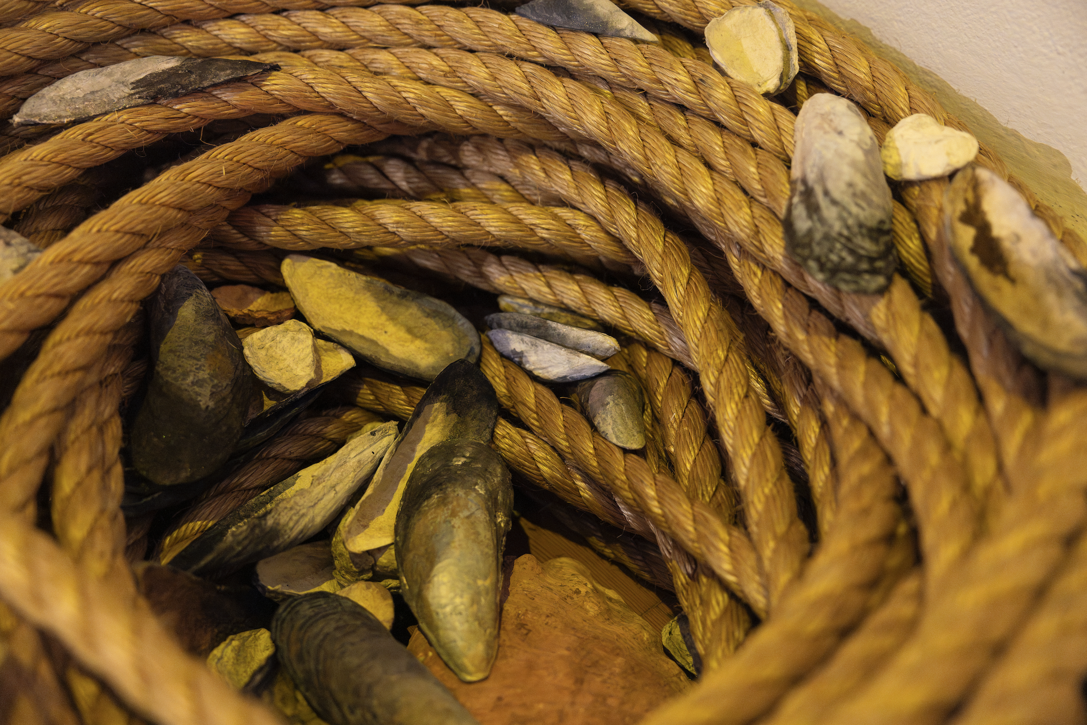 Screenshot 2026-01-09 at 3.08.42 PM.png