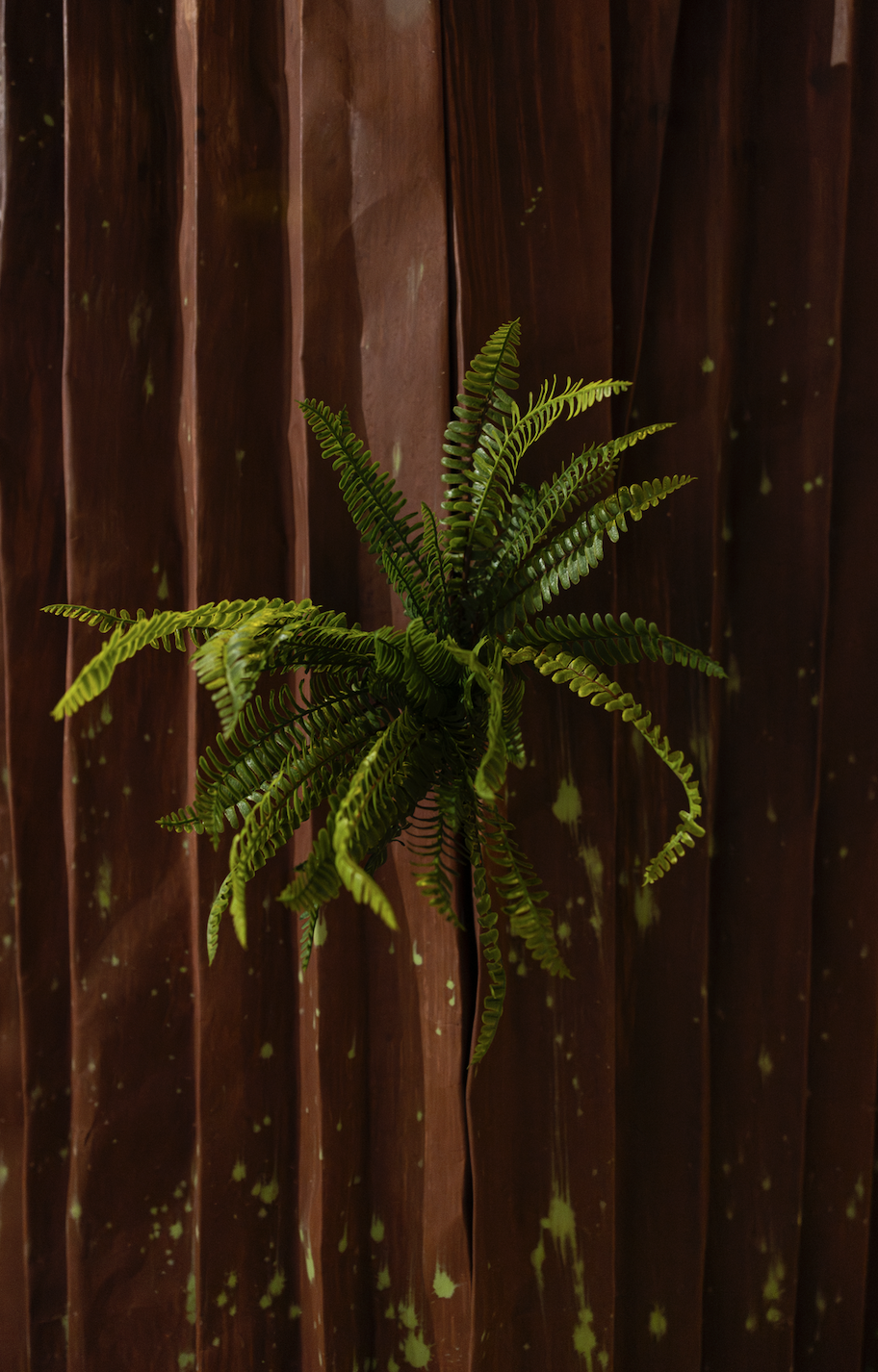 Screenshot 2026-01-09 at 3.09.39 PM.png