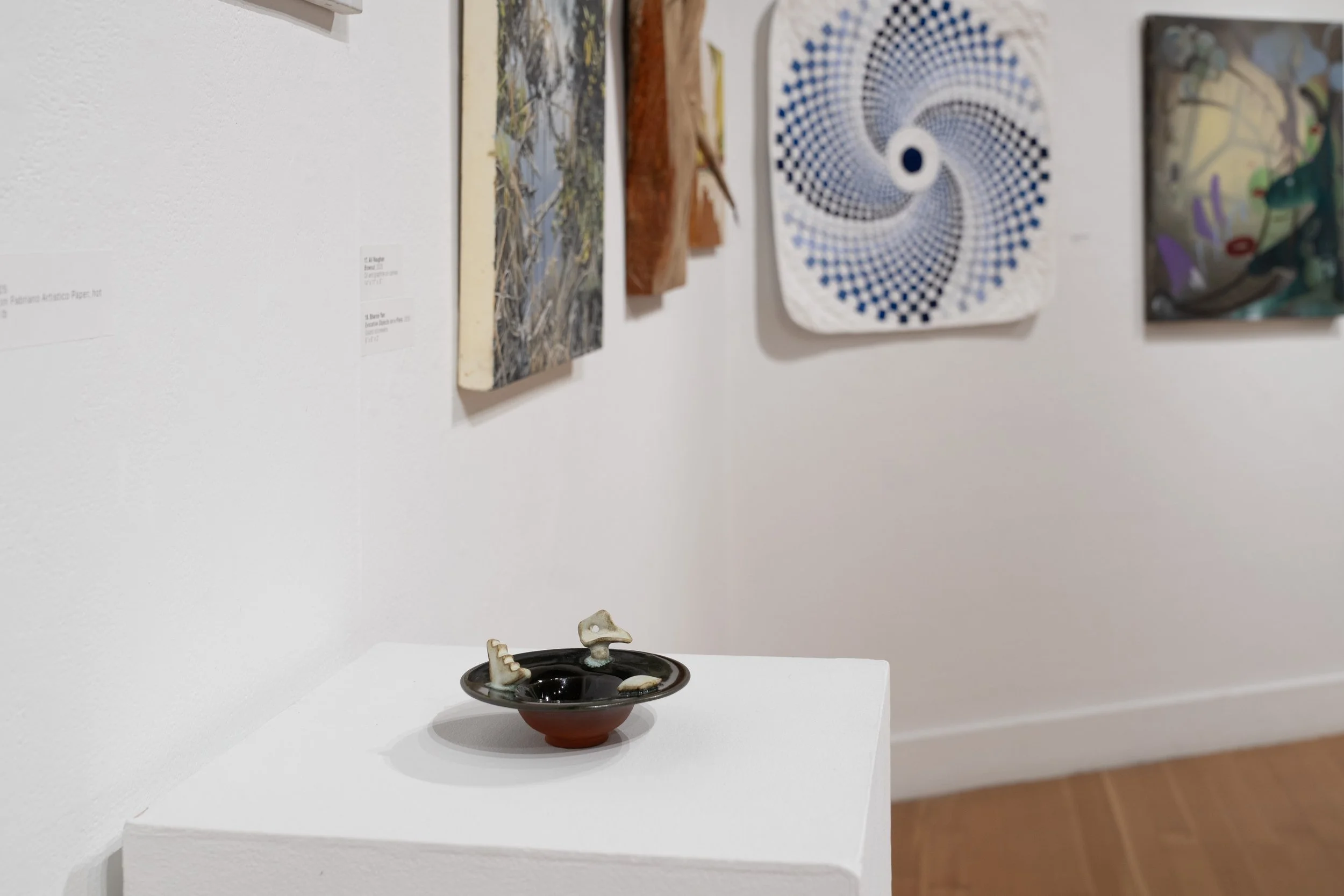 2026 Juried Membersâ Exhibition-024.jpg