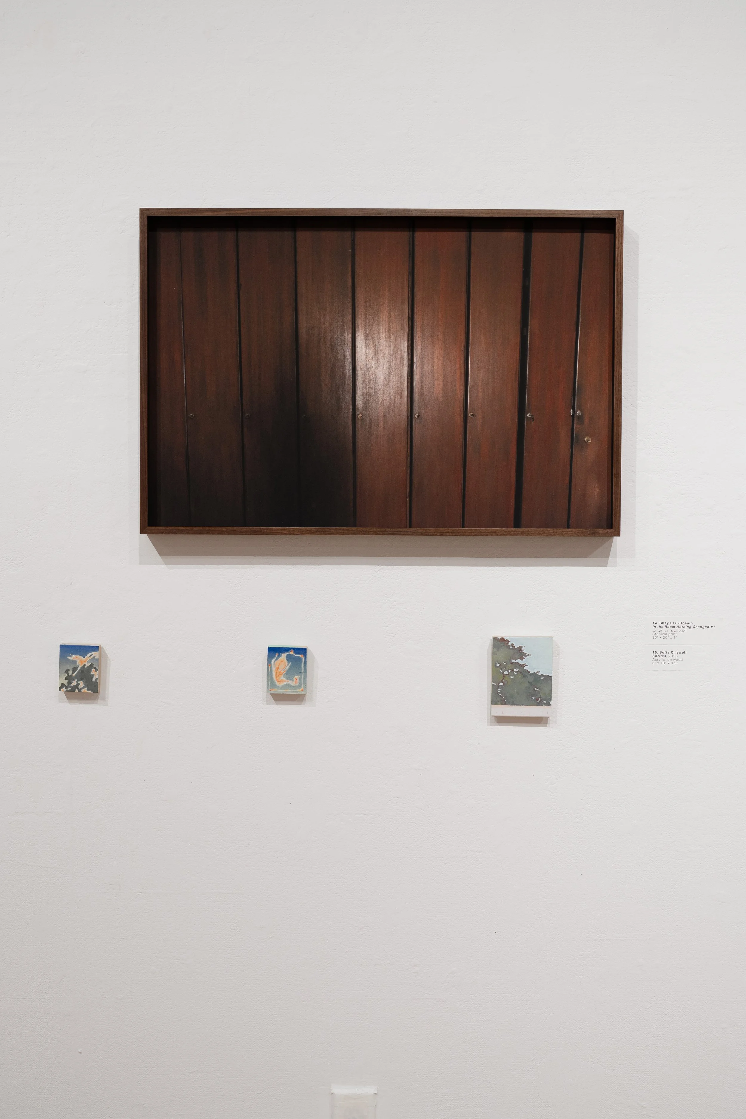 2026 Juried Membersâ Exhibition-028.jpg