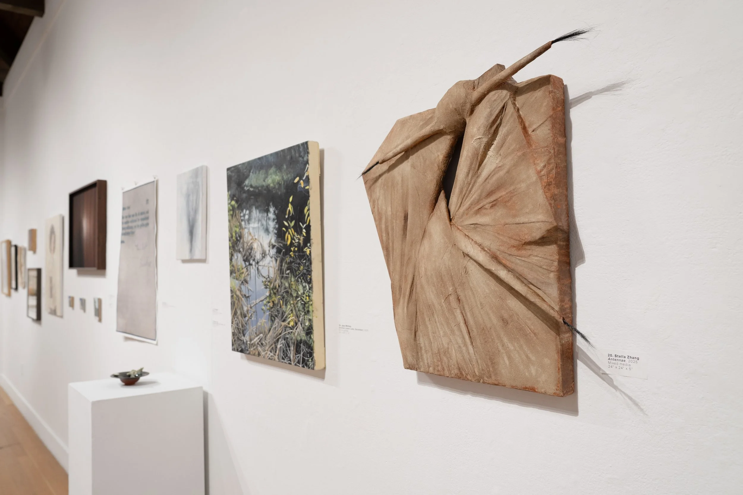 2026 Juried Membersâ Exhibition-031.jpg