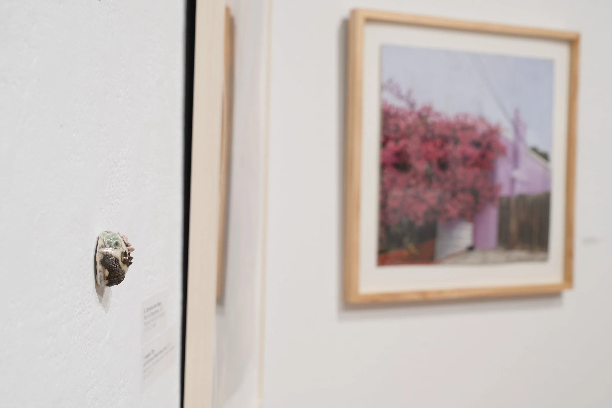 2026 Juried Membersâ Exhibition-106.jpg