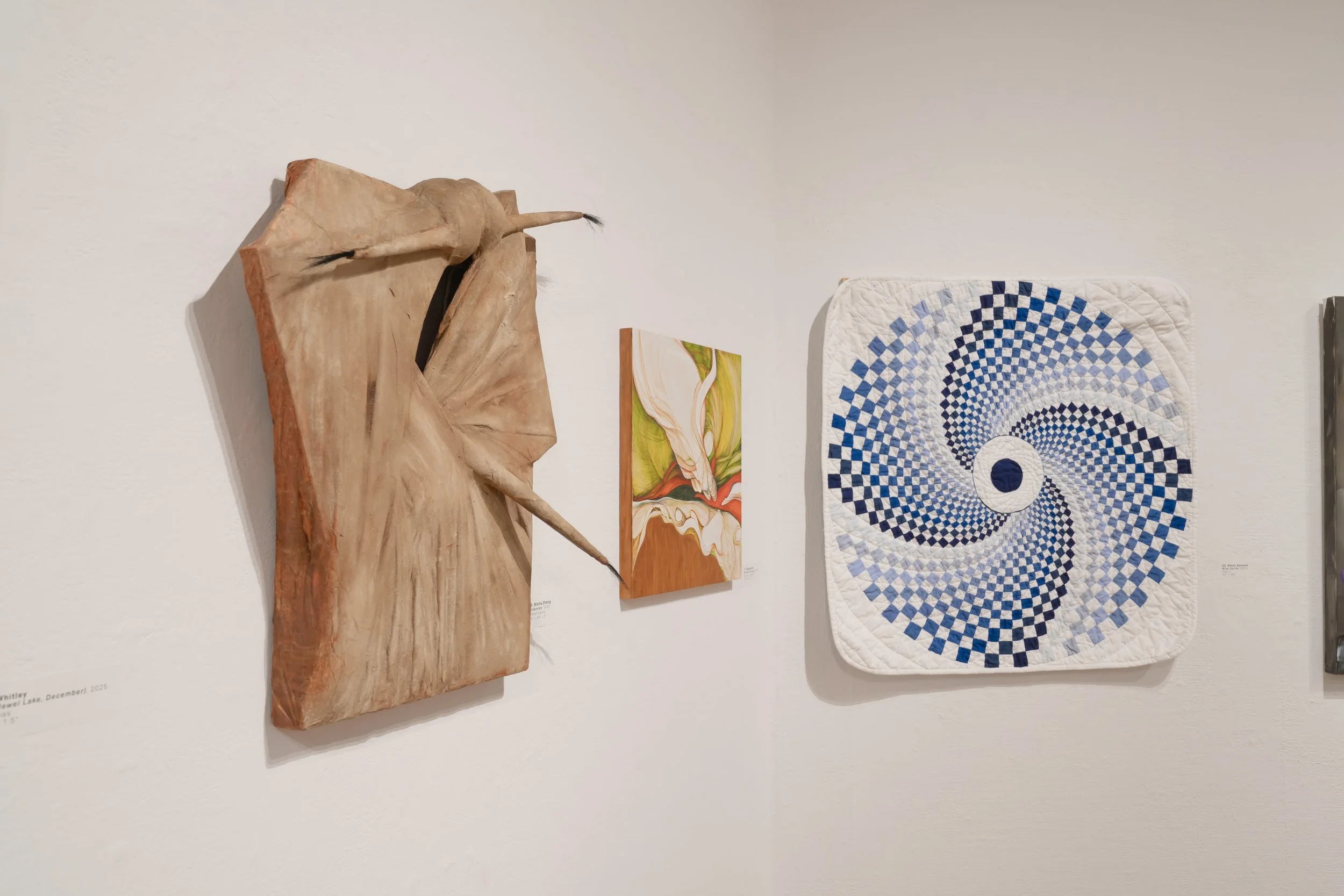 2026 Juried Membersâ Exhibition-111.jpg