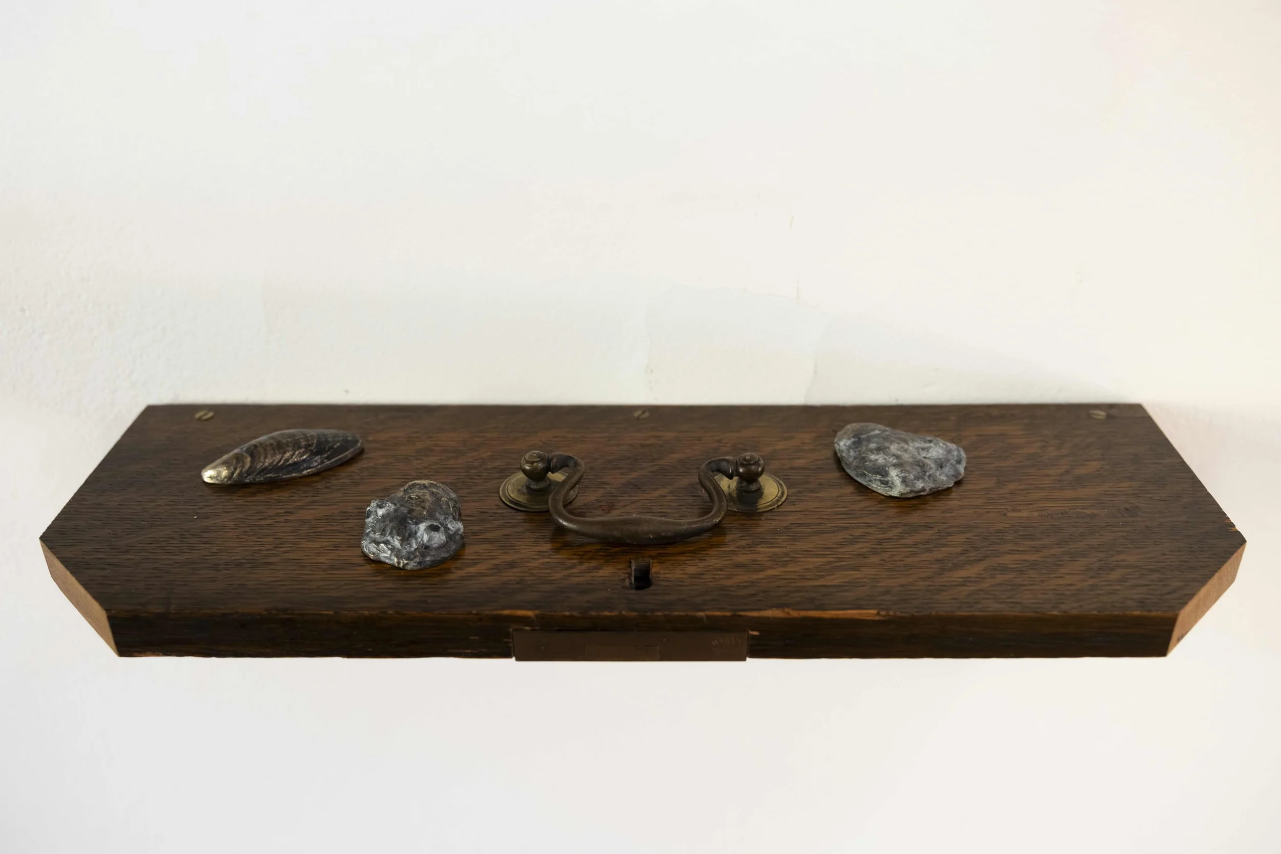 BAC_Obstructed view of the house_mussel+ostrea lurida_042.jpeg