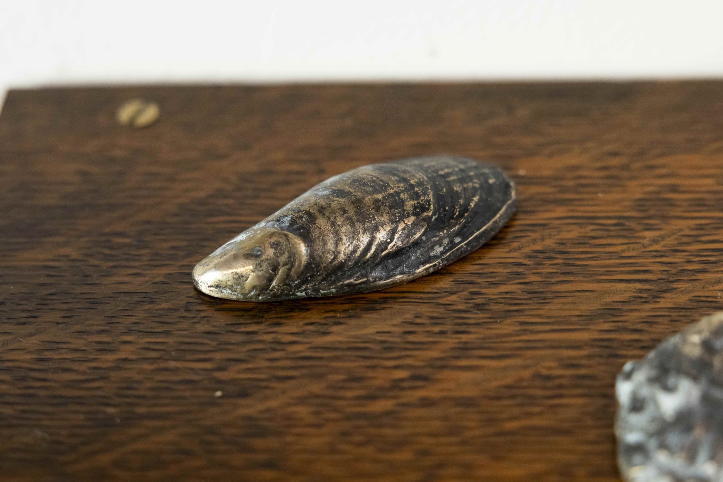 BAC_Obstructed view of the house_mussel_044.jpeg