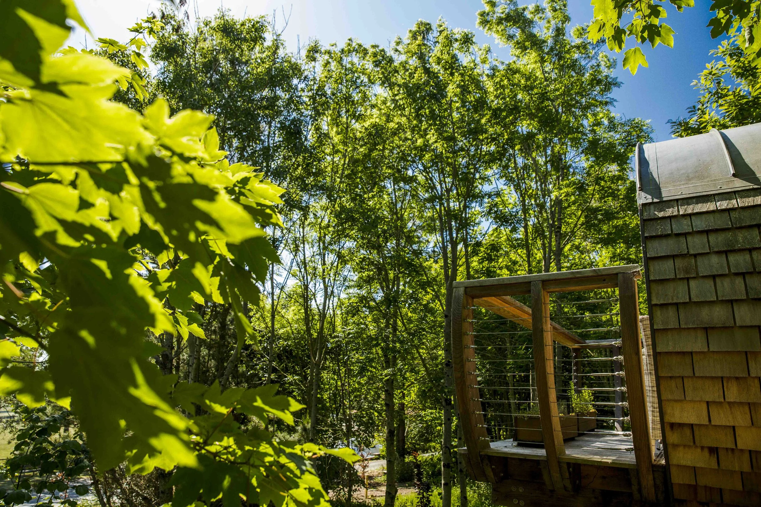 webversion_hideaway_pickwell_June2020-6.jpg