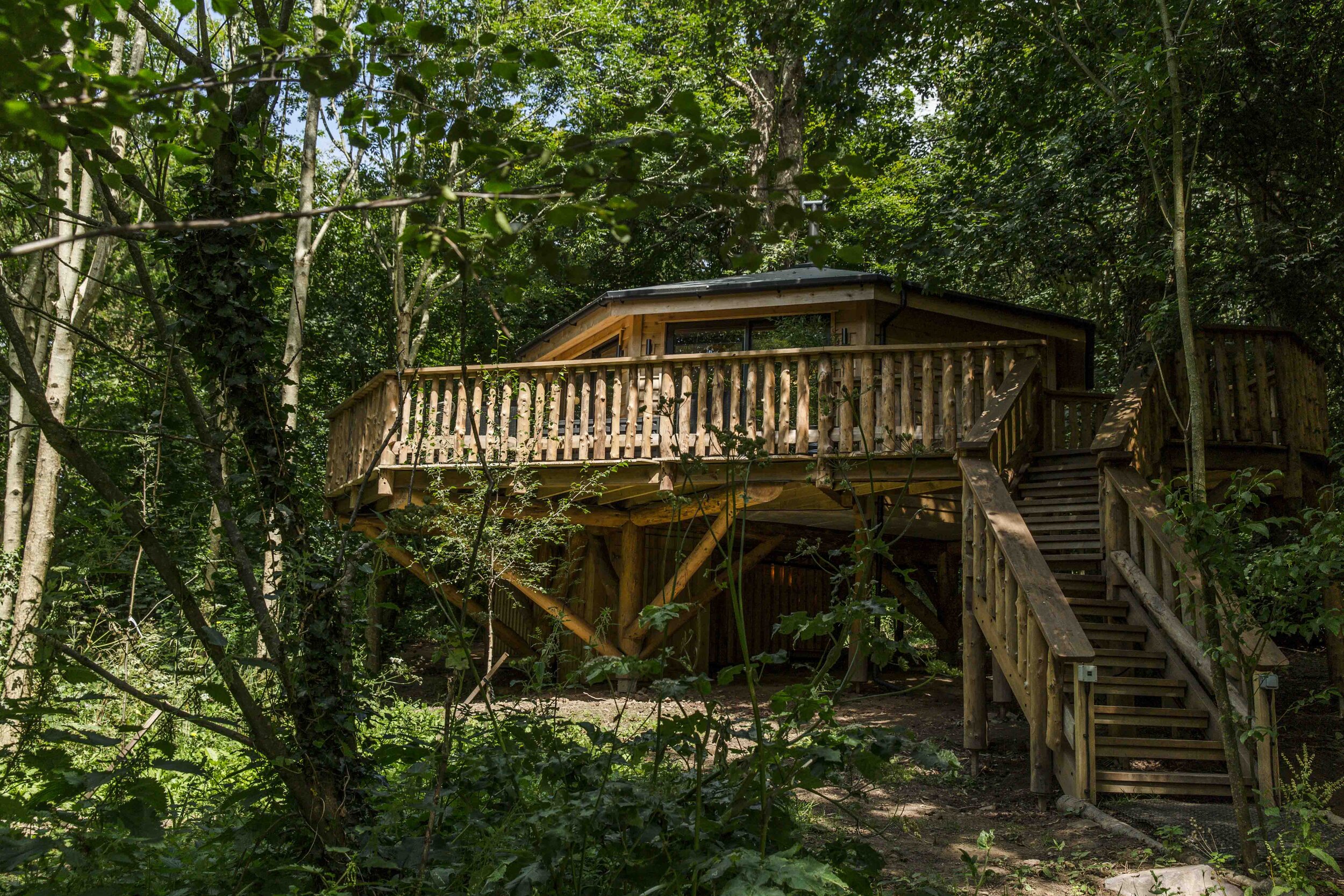 webversion_thedentreehouse_pickwellmanor_July2020-8.jpg