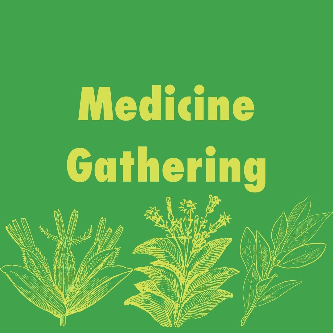 Did you know you can find many plants and medicines in your own backyard or community green space? Follow the instructions in our guide to medicine gathering. All you need is a paper and pencil or a camera!

We have also included a story from Elder I