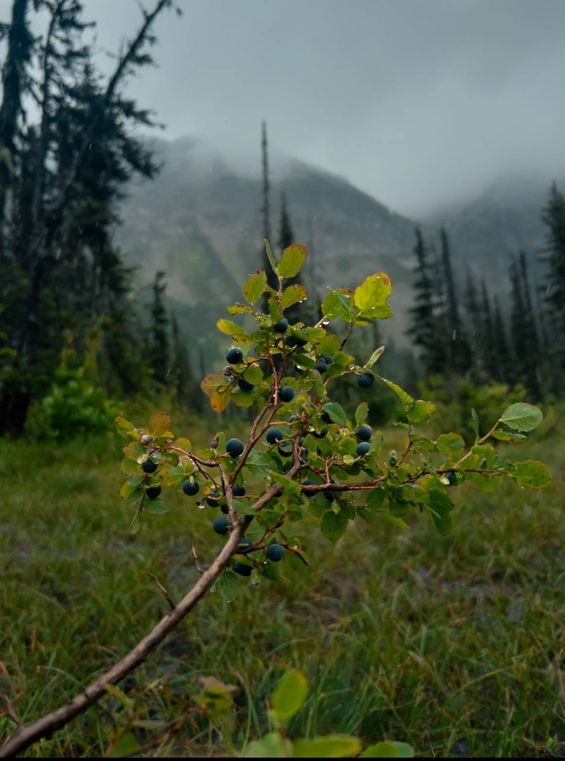 Photo: Skylar Richard