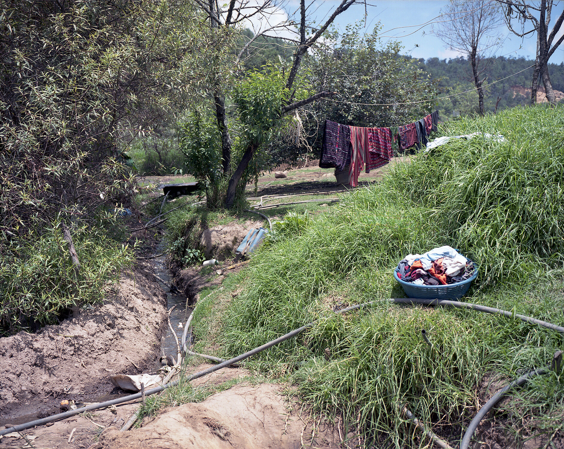 Laundry and Irrigation