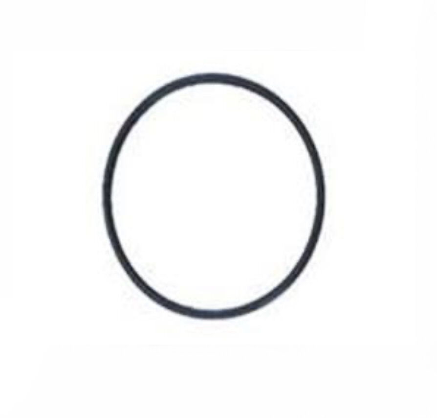 Big Blue Housing O-Ring