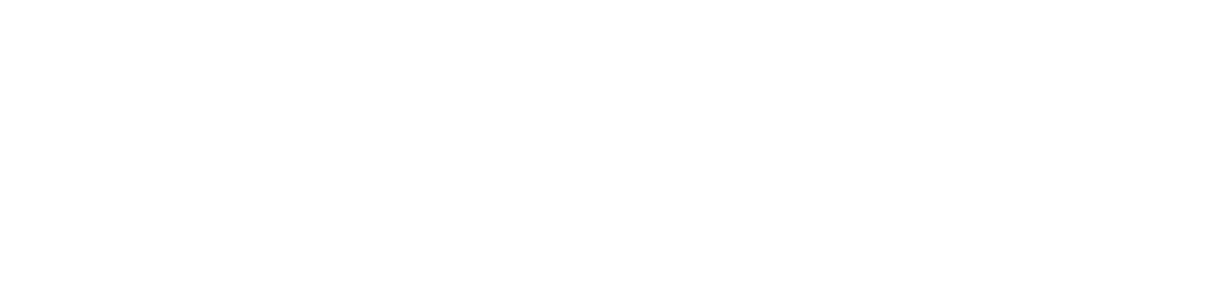 OUR STORY — Solomon Group