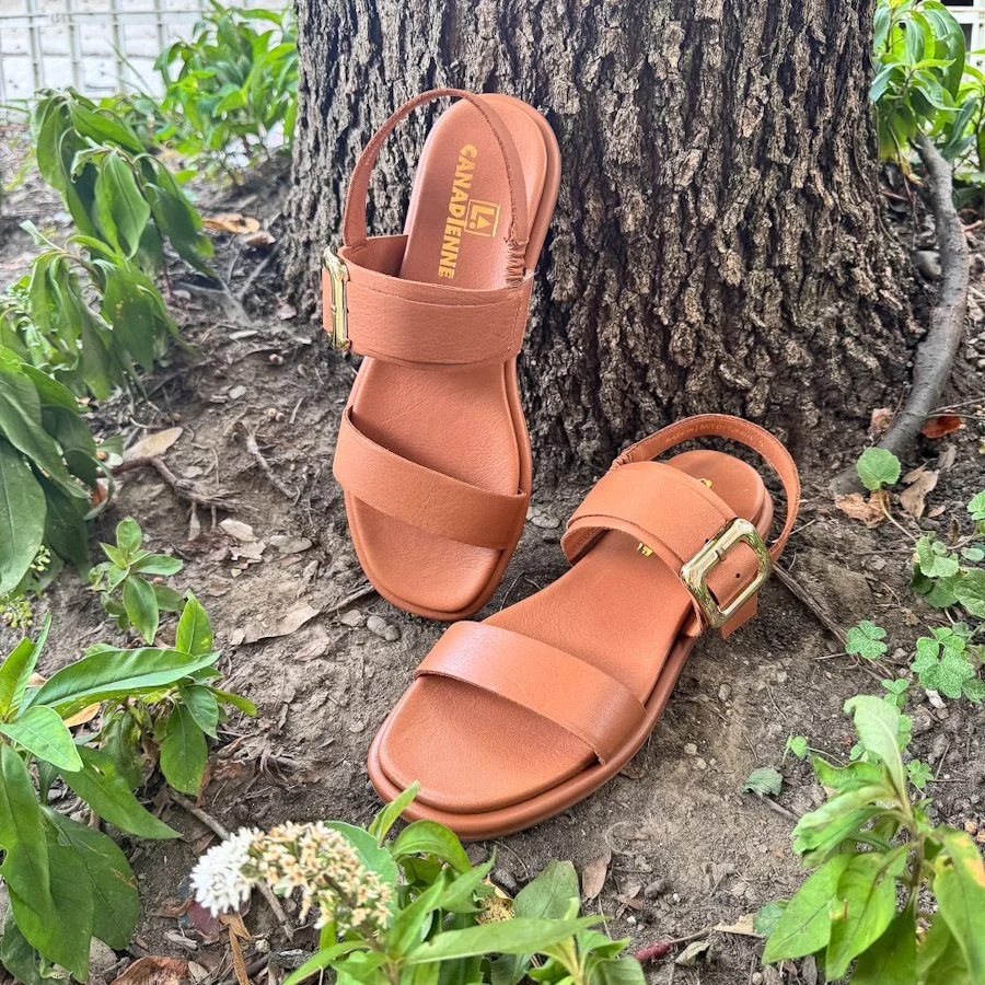 Brown Gold Buckle Leather Sandal