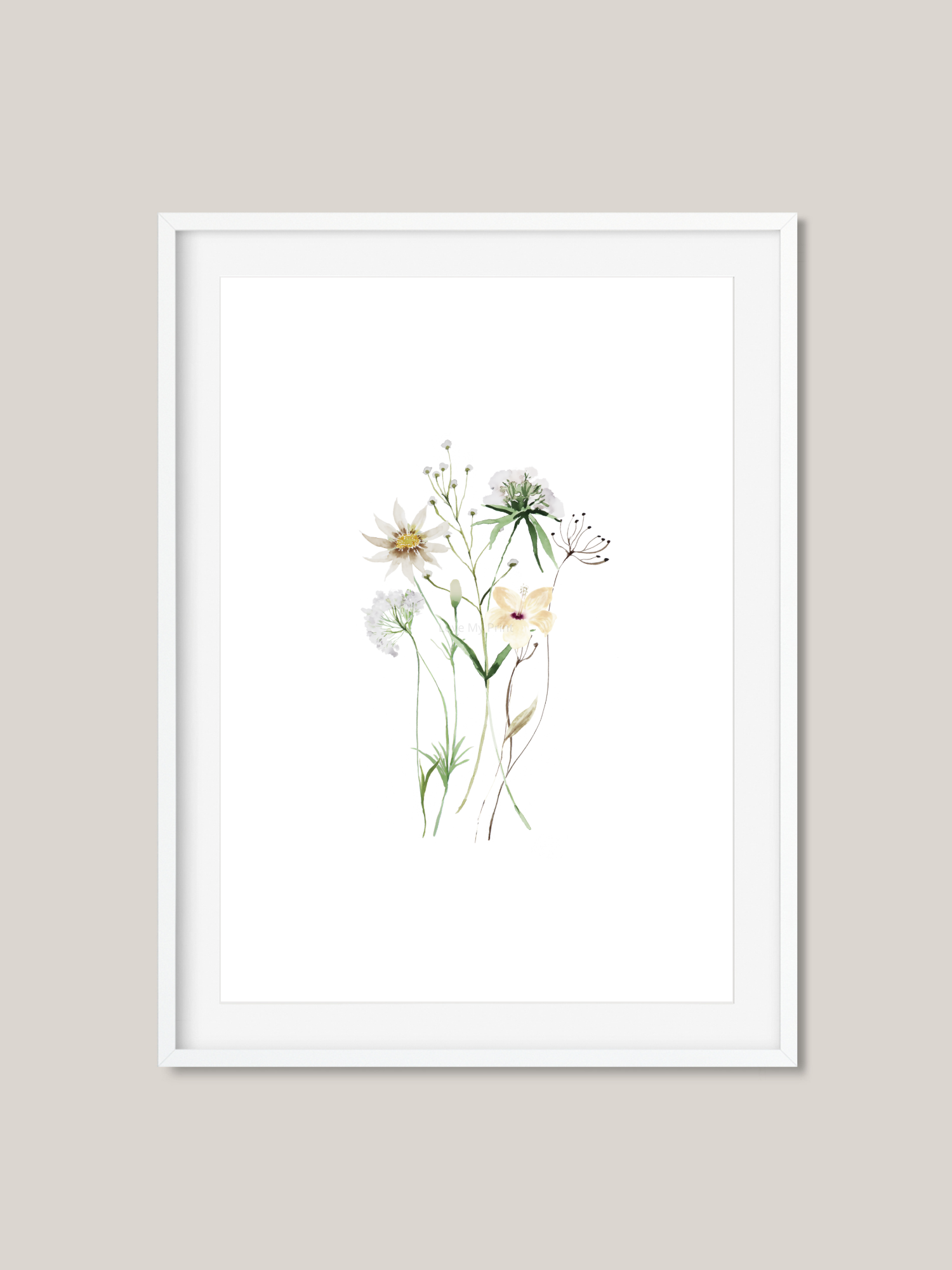 Website Frames (2).png