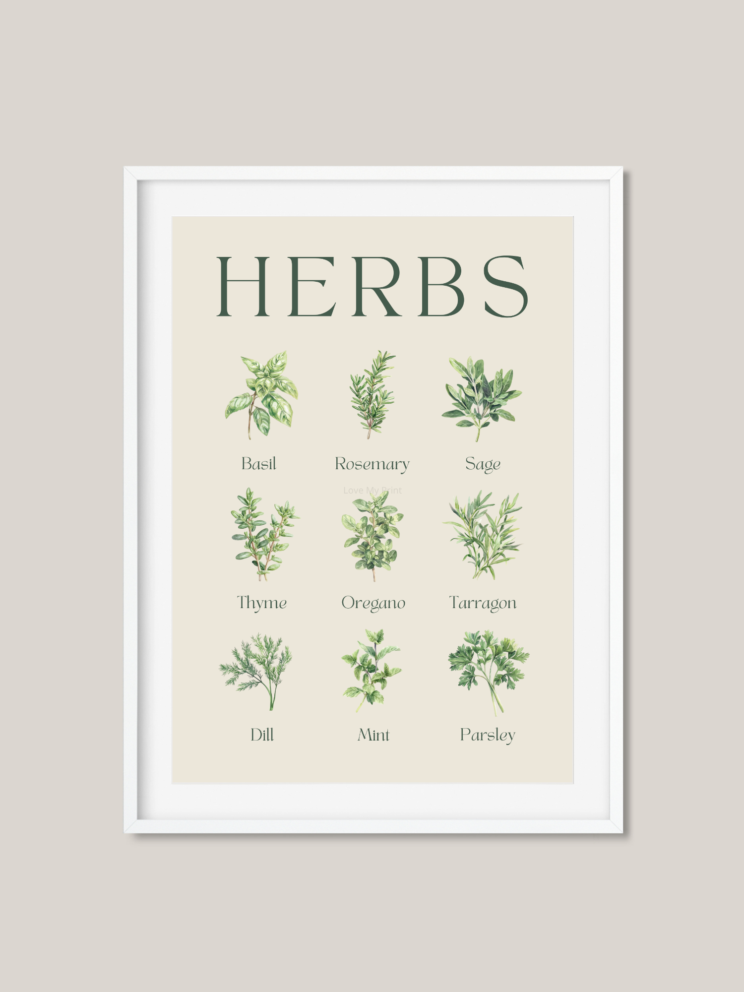 Website Frames (26).png