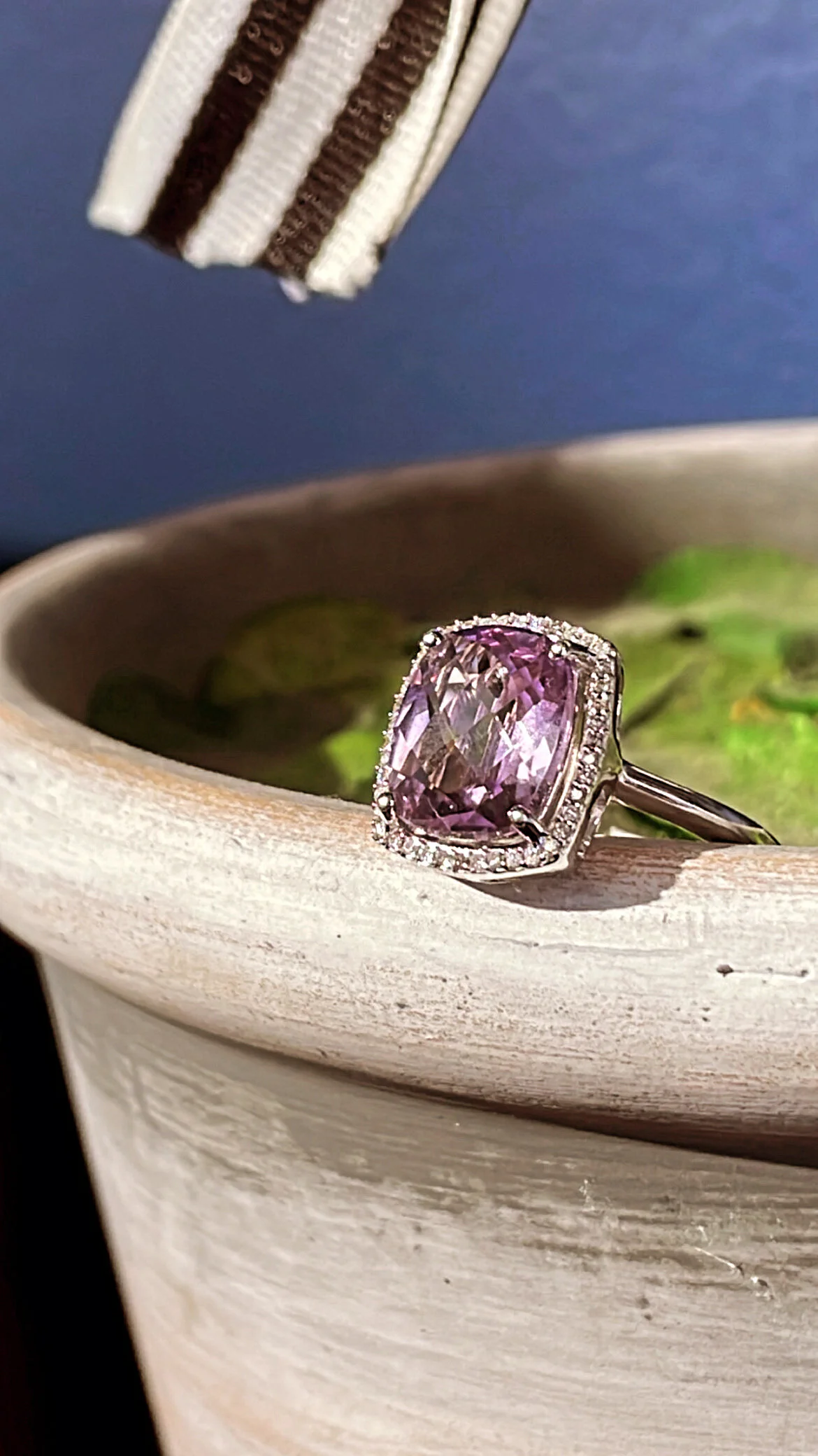 1F6C3AC5-2068-4D8B-A87D-69A38C2E953A