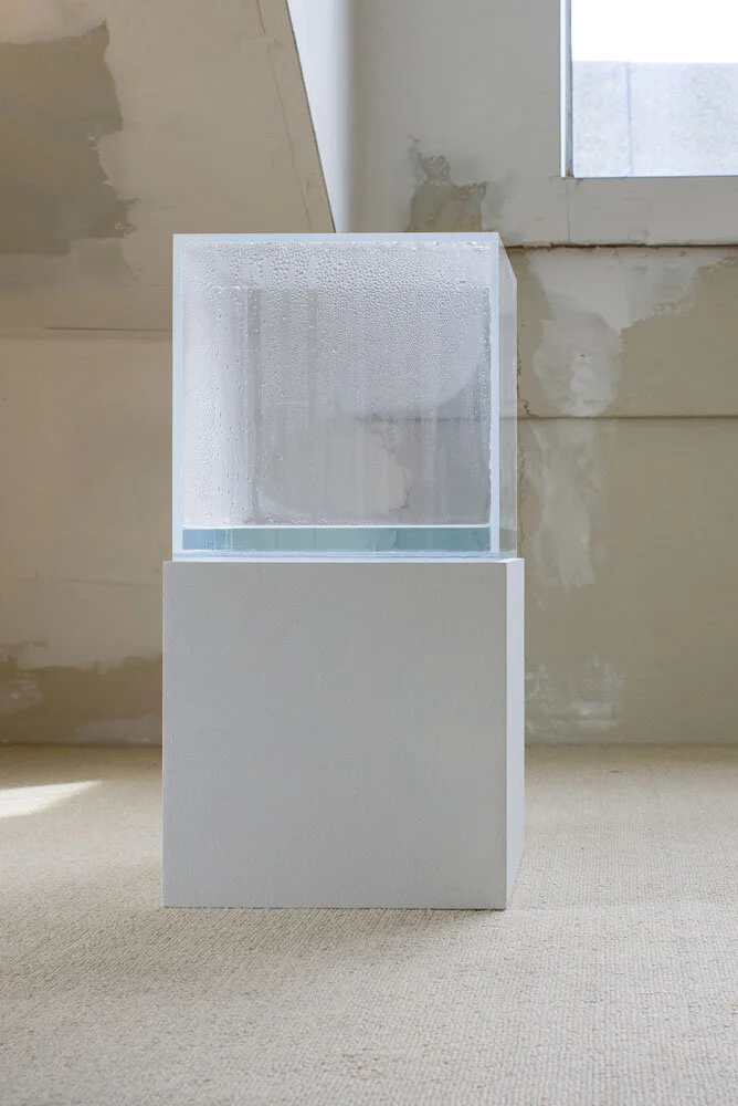 Hans Haacke, Condensation Cube , 1971. Clear acrylic, distilled water, climate in area of display, 10 x 10 x 10 inches. Courtesy of the artist and Paula Cooper Gallery, New York. Private collection, San Francisco.