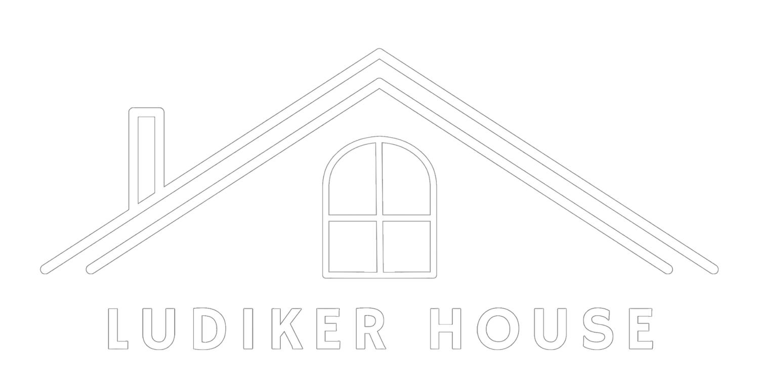 Ludiker House • Austin, Texas
