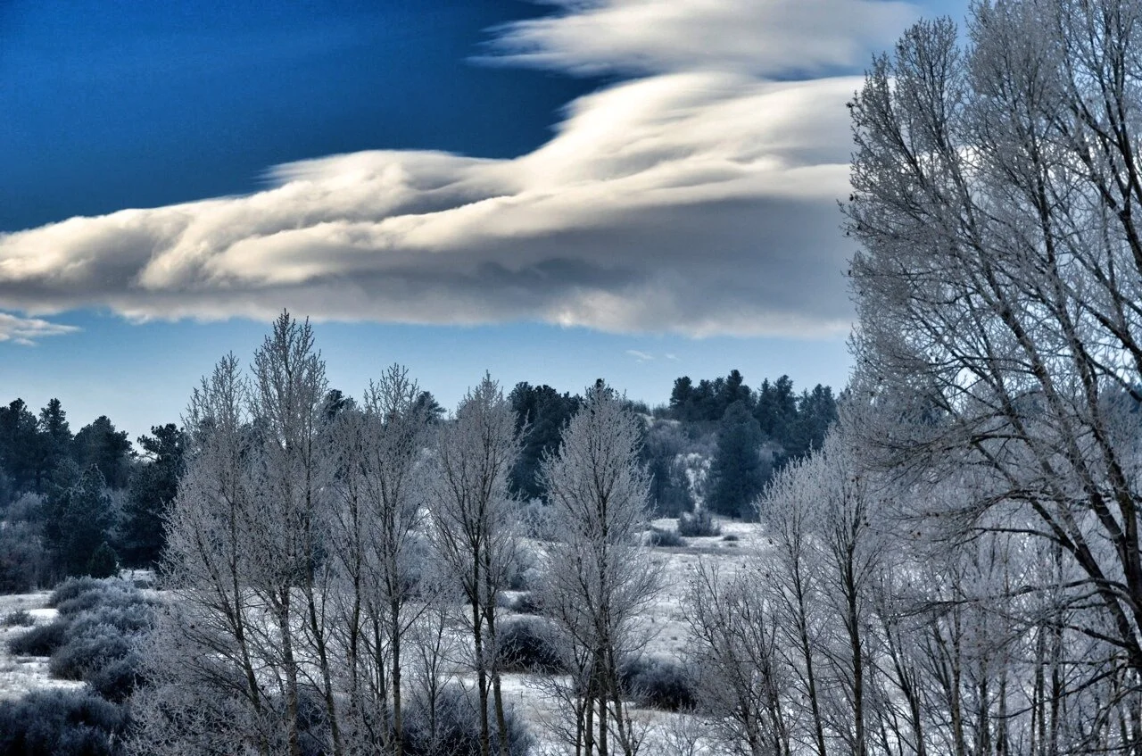 The Change of Seasons