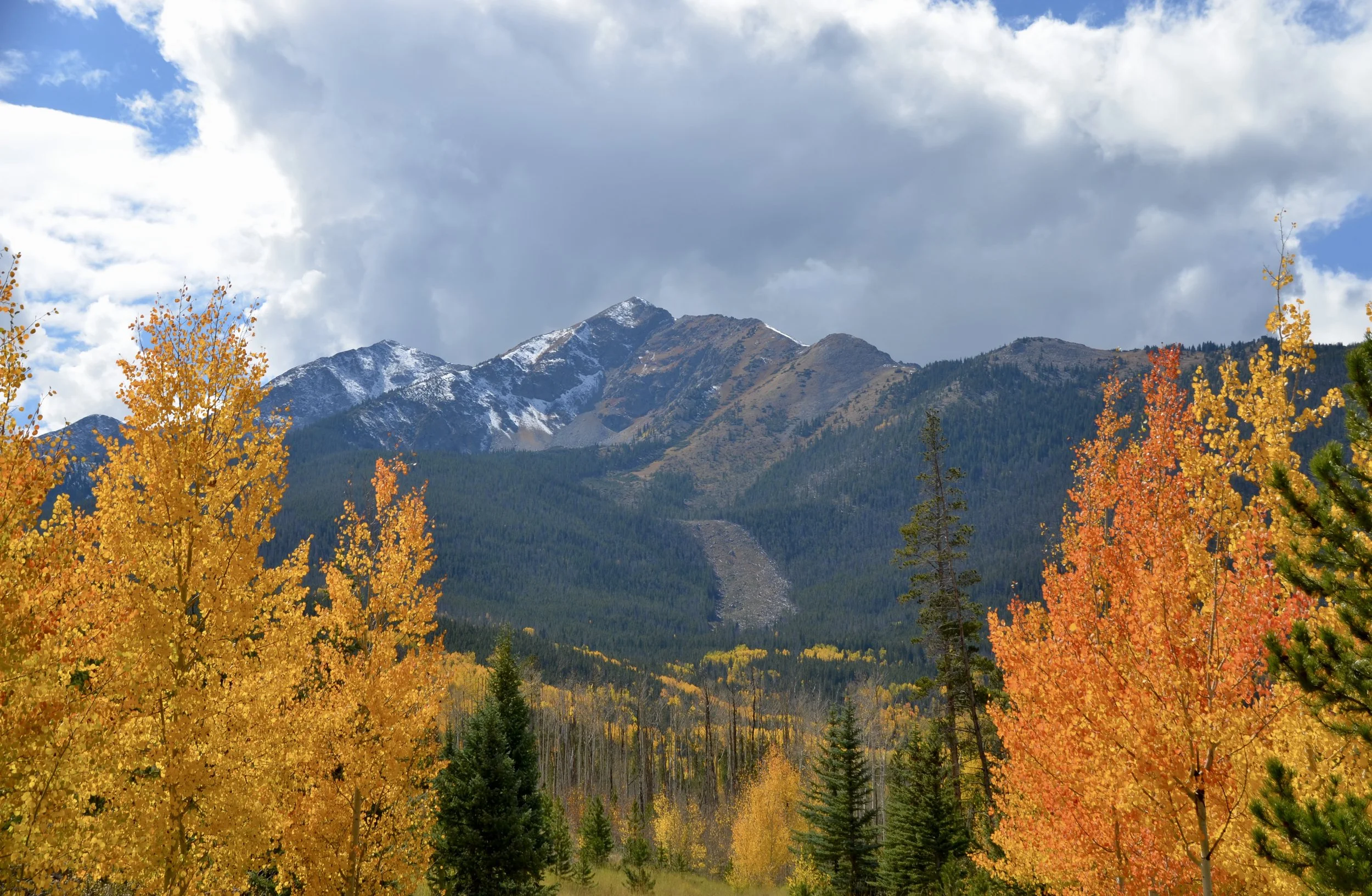 When I want to talk to God, I listen to your songs