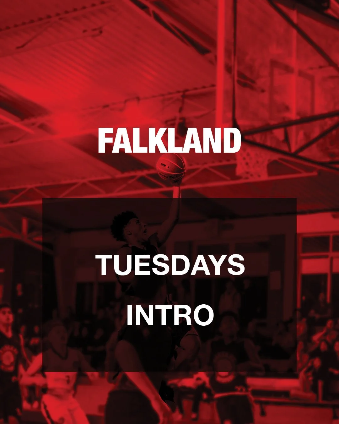 FALKLAND Intro