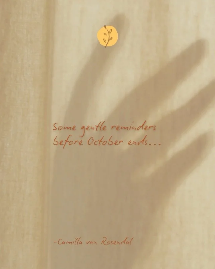 As October begins to close her pages, may you remember - the tides are always turning.
 There is still promise held in the stem. Stillness waiting beneath the noise. And enough light to meet you where you are.

✨ A quiet reminder that contentment isn