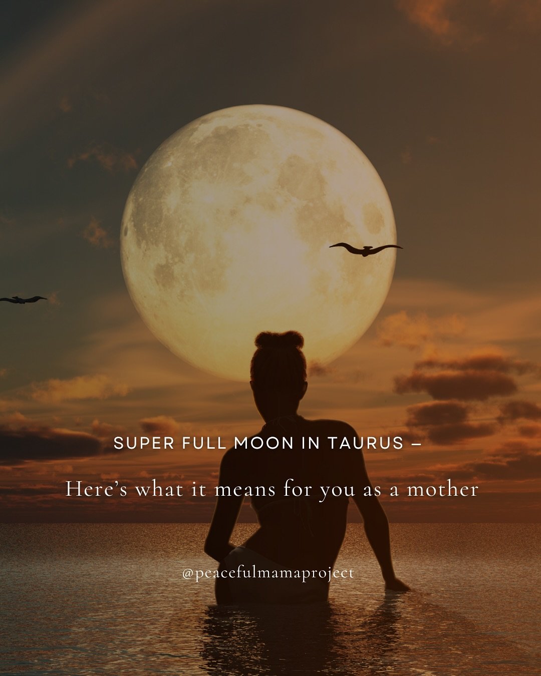 On Nov 5th, the Moon peaks in grounded Taurus - a super-full, luminous moment that invites us to come home to ourselves.

For us mothers this might mean:

A stronger pull to slow down, settle into your body, and feel the weight of the work you&rsquo;