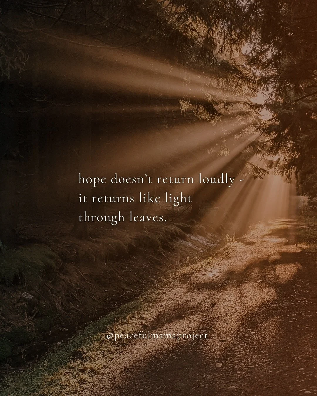 There is a quiet light that survives
every heaviness -
we find it in each other.

#truths #softstrength #scattertobloom #peacefulmamaproject #collectivehealing #humanness #beinghuman #sharedhumanity #collectiveenergy #emotionalresonance #truthseekers