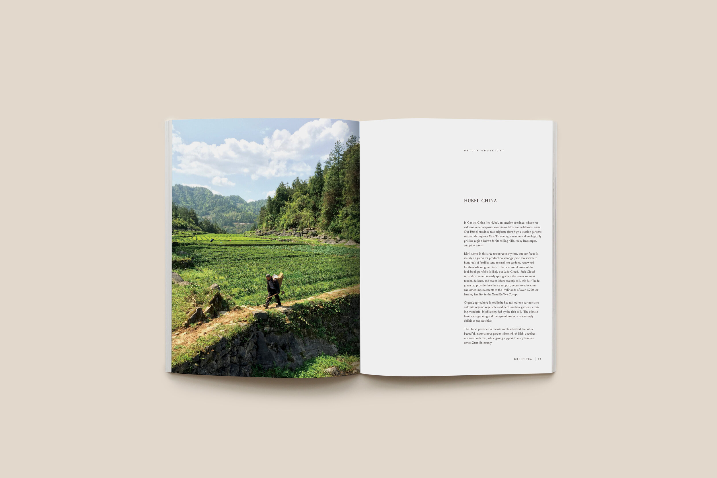 LookBook-Hubei.jpg