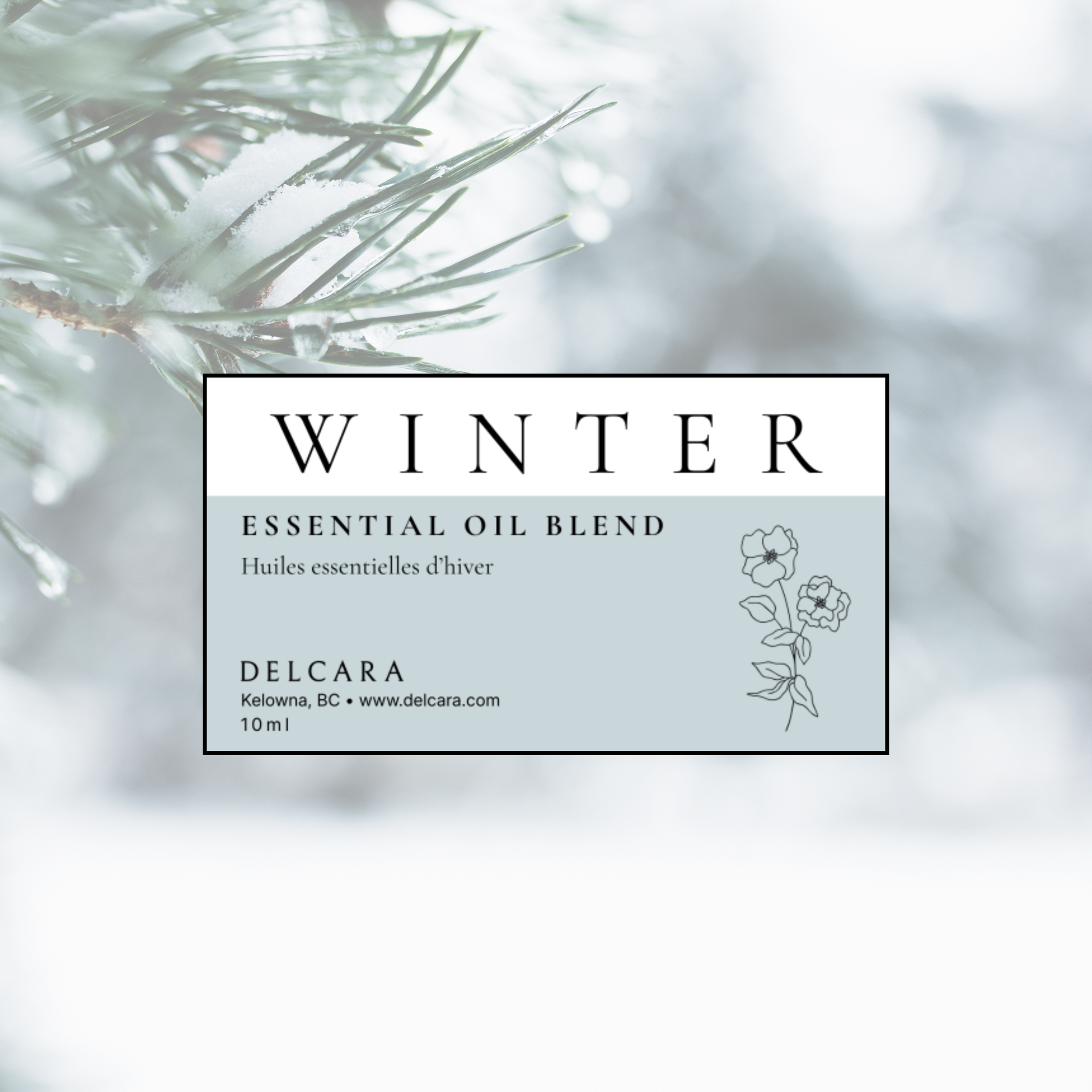 Untitled design (3).png