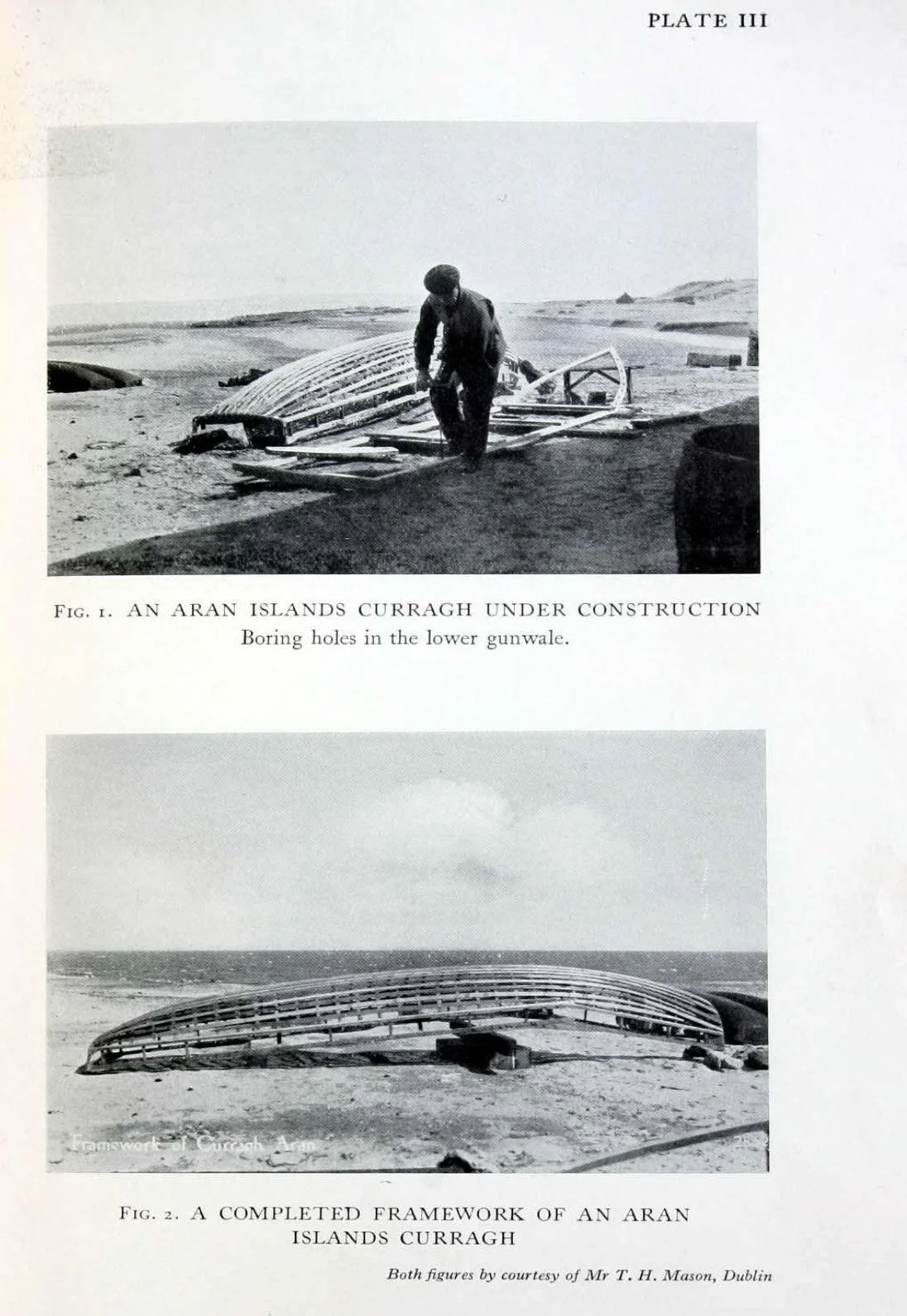 2263g.jpg