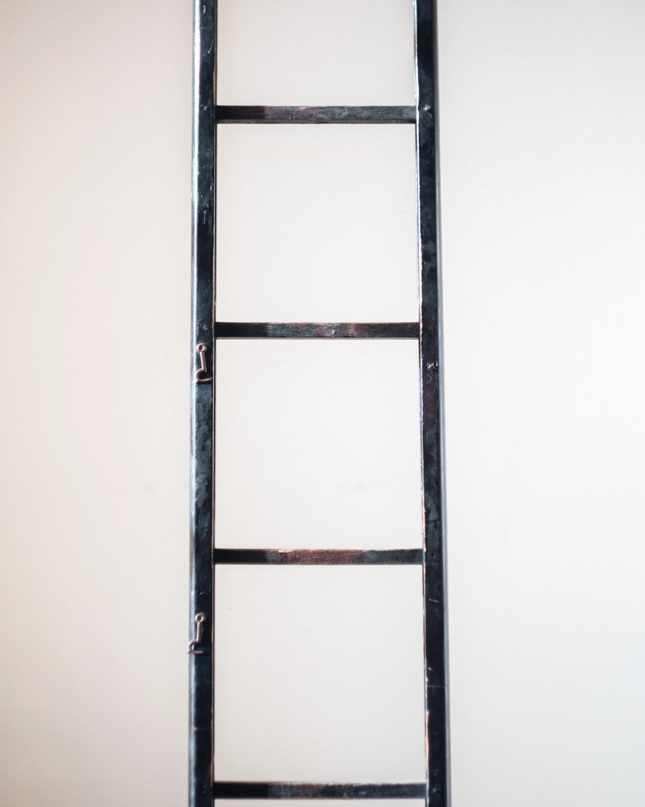 Molly Alexander 2026.03.302687.jpg