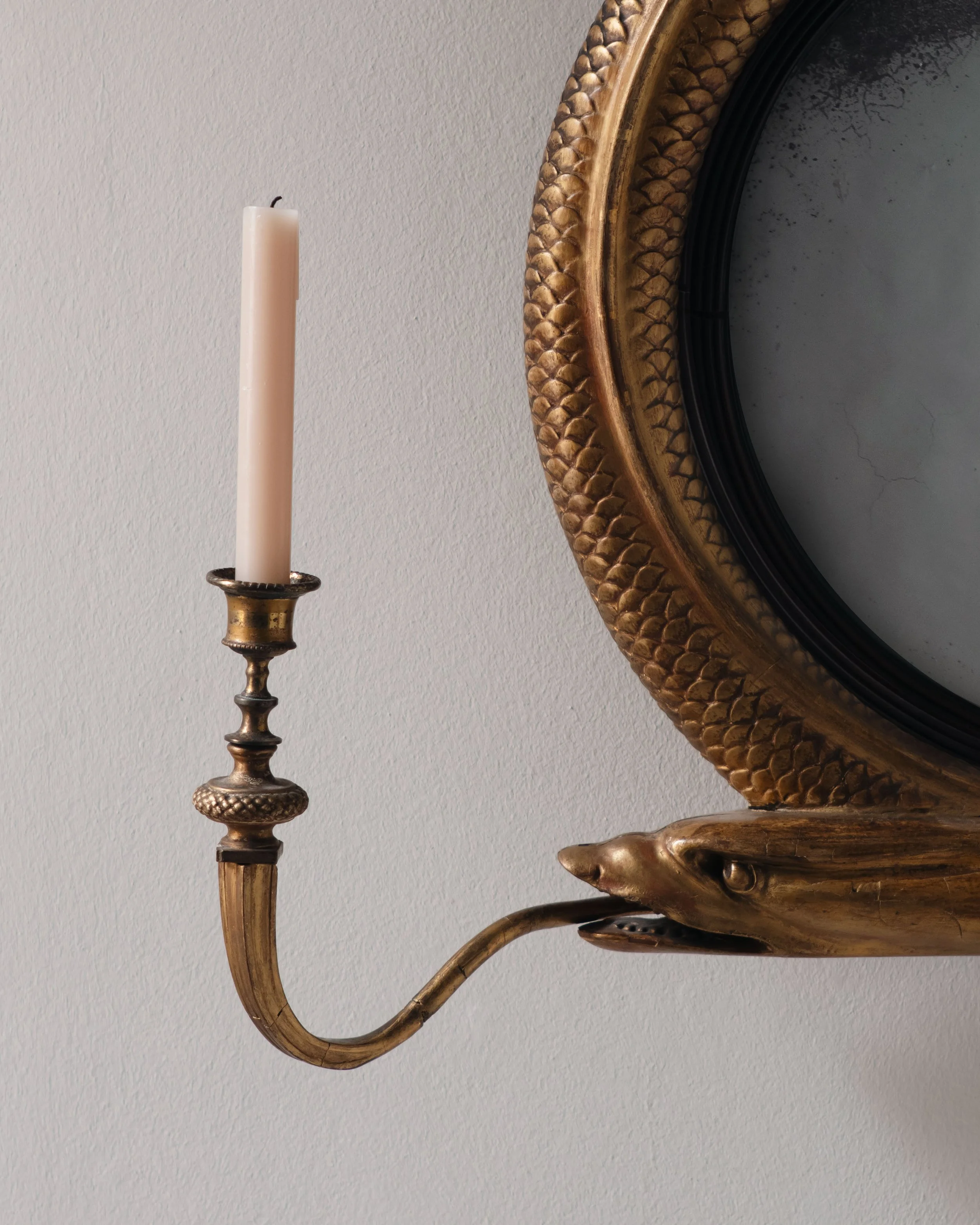 Molly 2026.02.211316.jpg