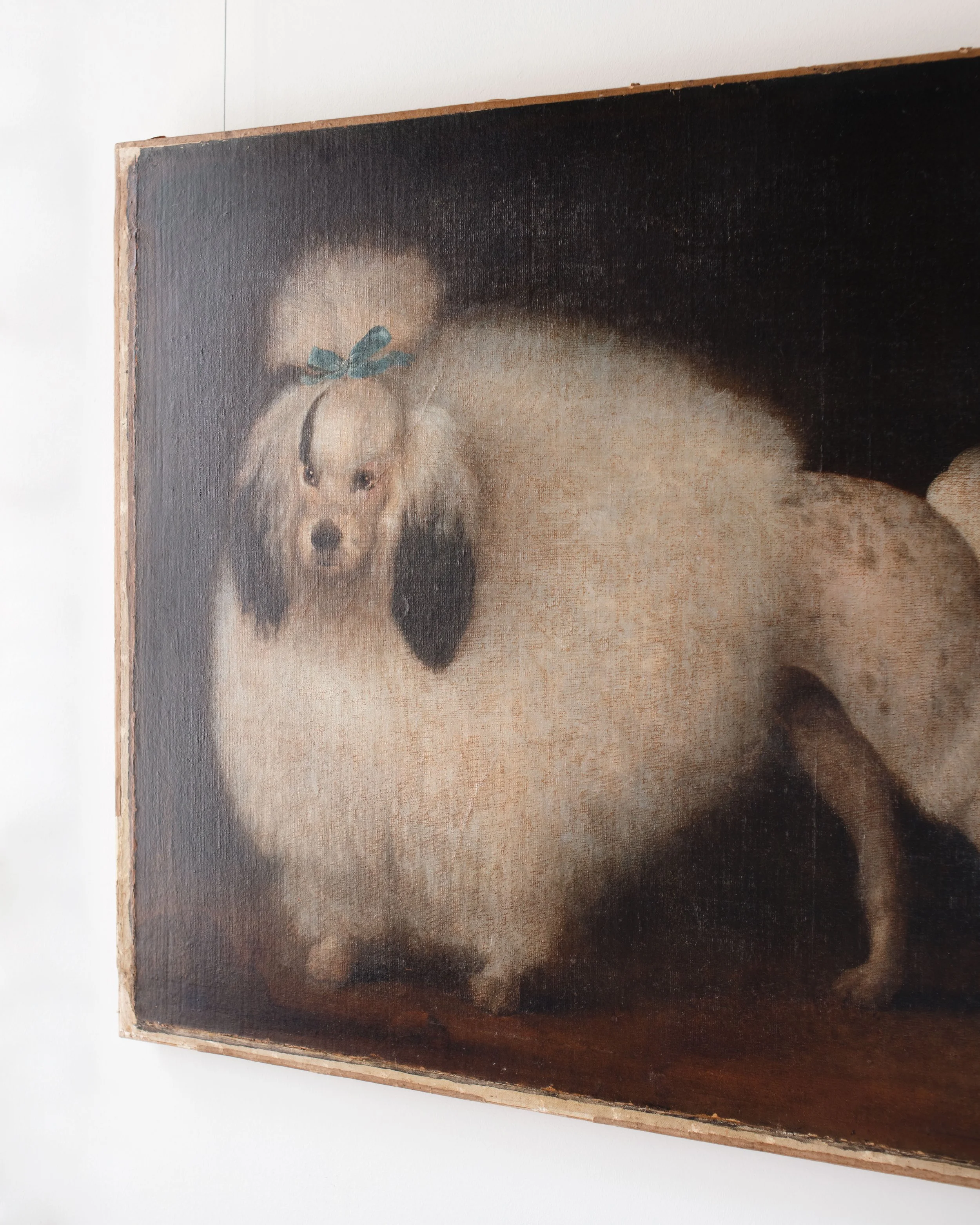 Molly 2026.02.211371.jpg