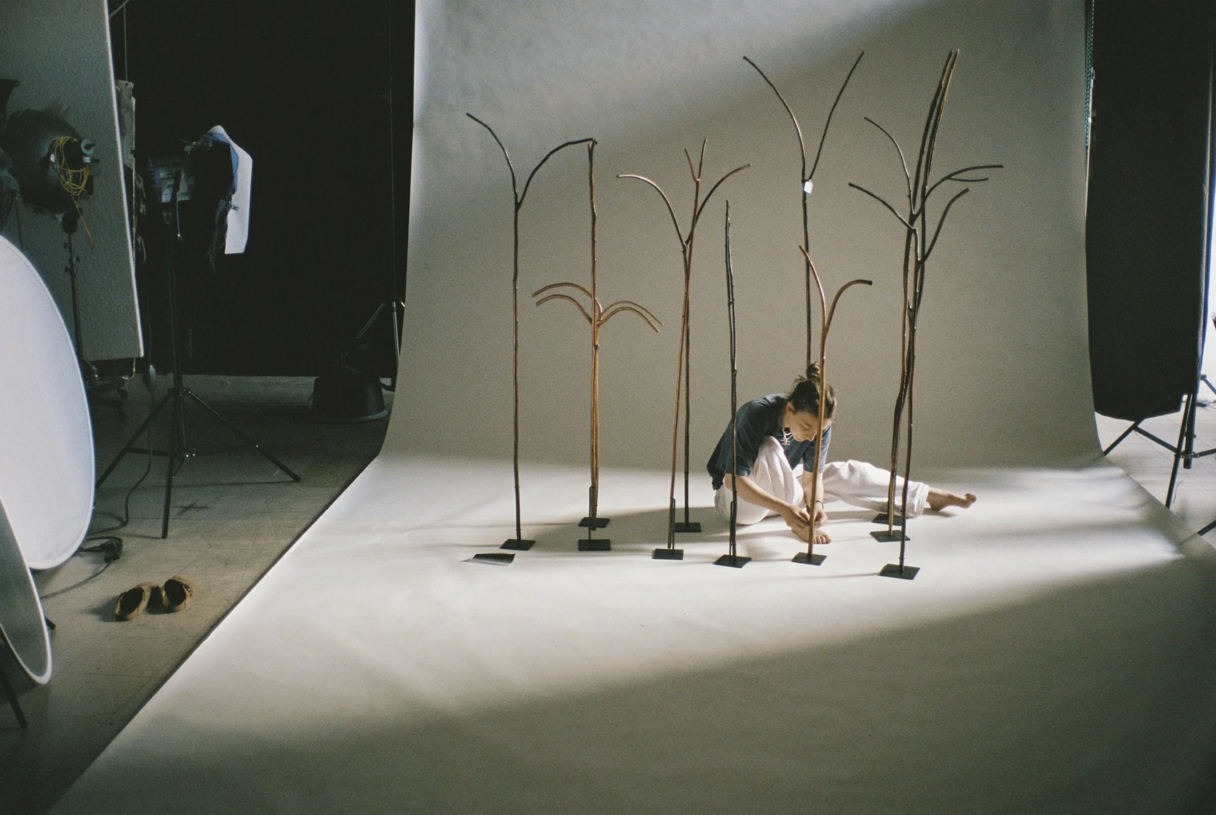 0000508307513 copy-High Res.jpg