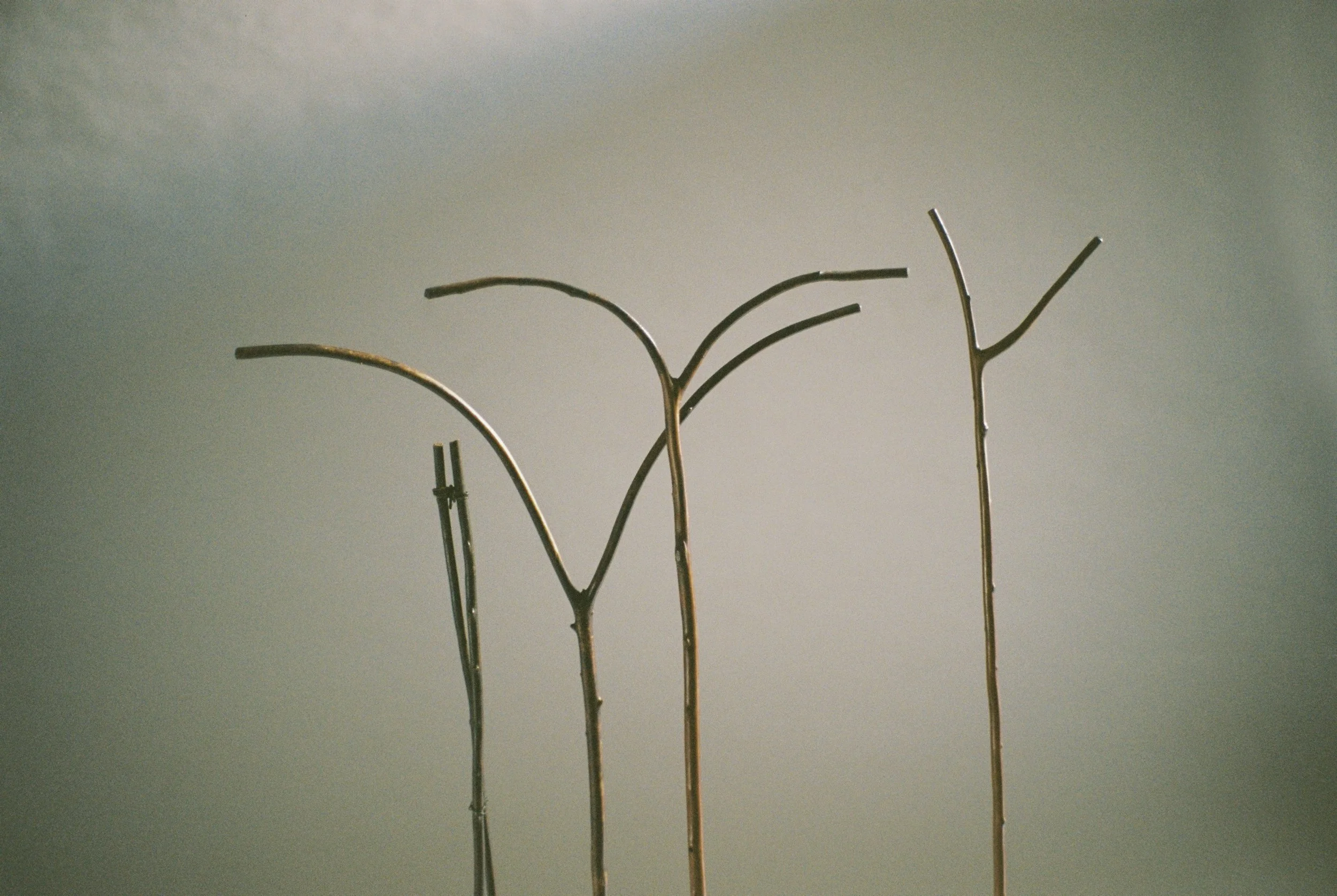 0000508307516 copy-High Res copy.jpeg