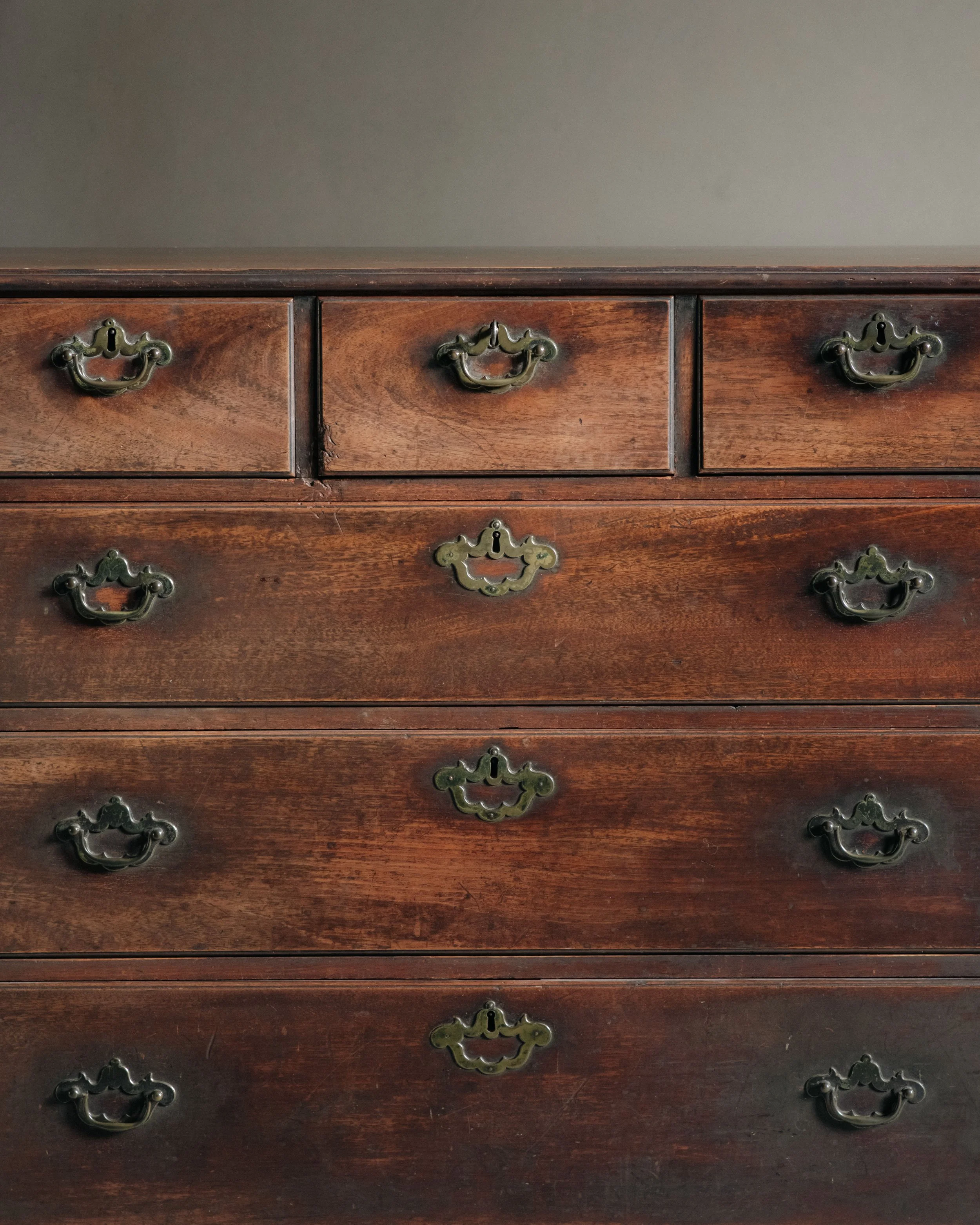 Molly Alexander 2026.03.312950.jpg