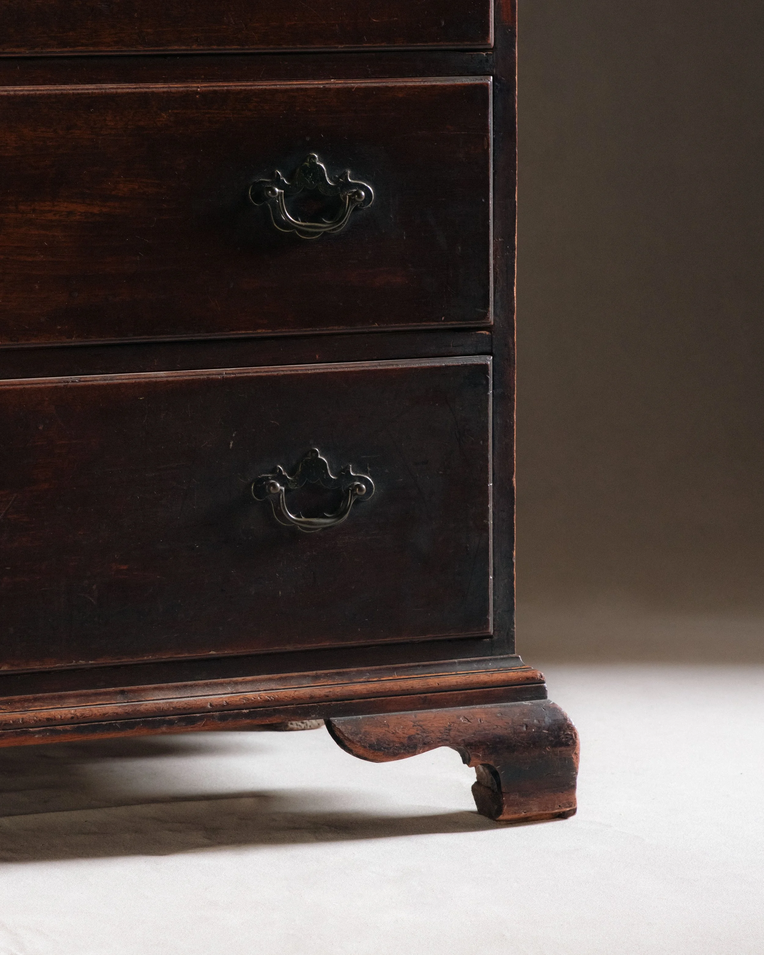 Molly Alexander 2026.03.312957.jpg