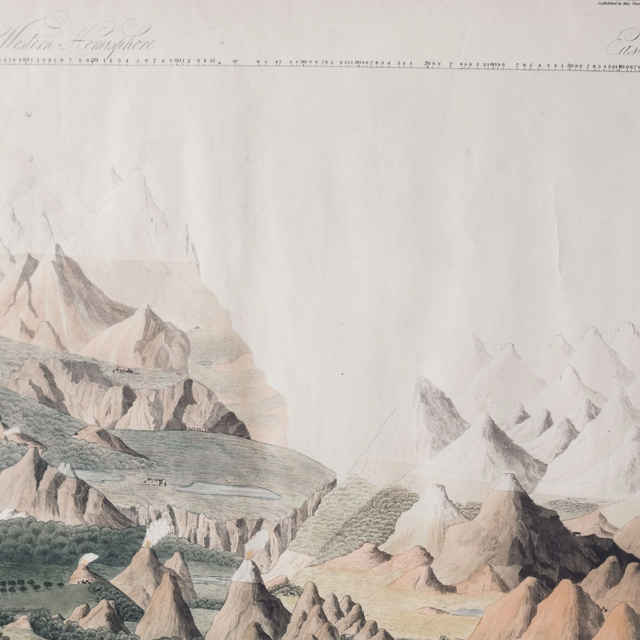 Molly Alexander 2026.03.302648.jpg