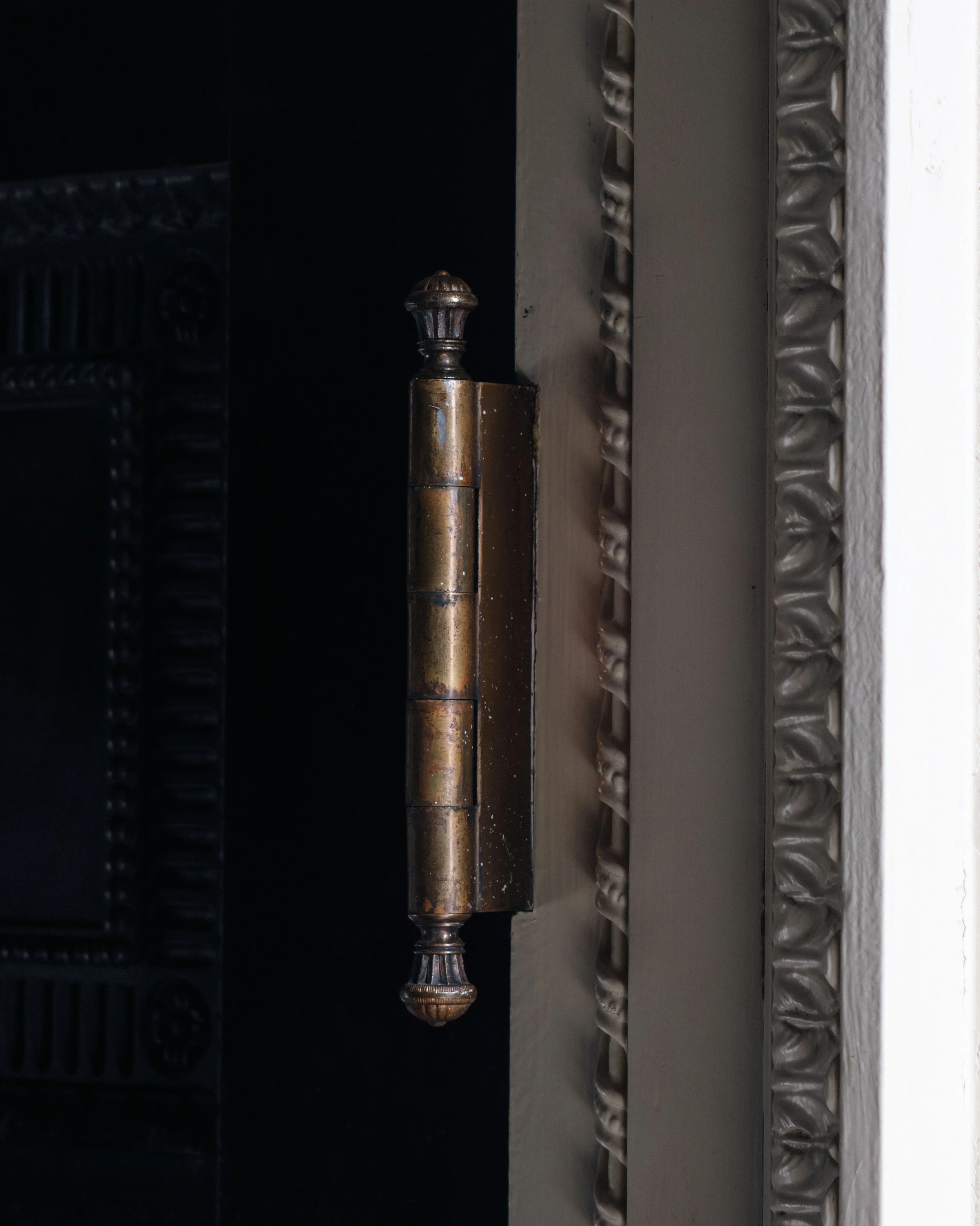 Molly Alexander 2026.03.312776.jpg